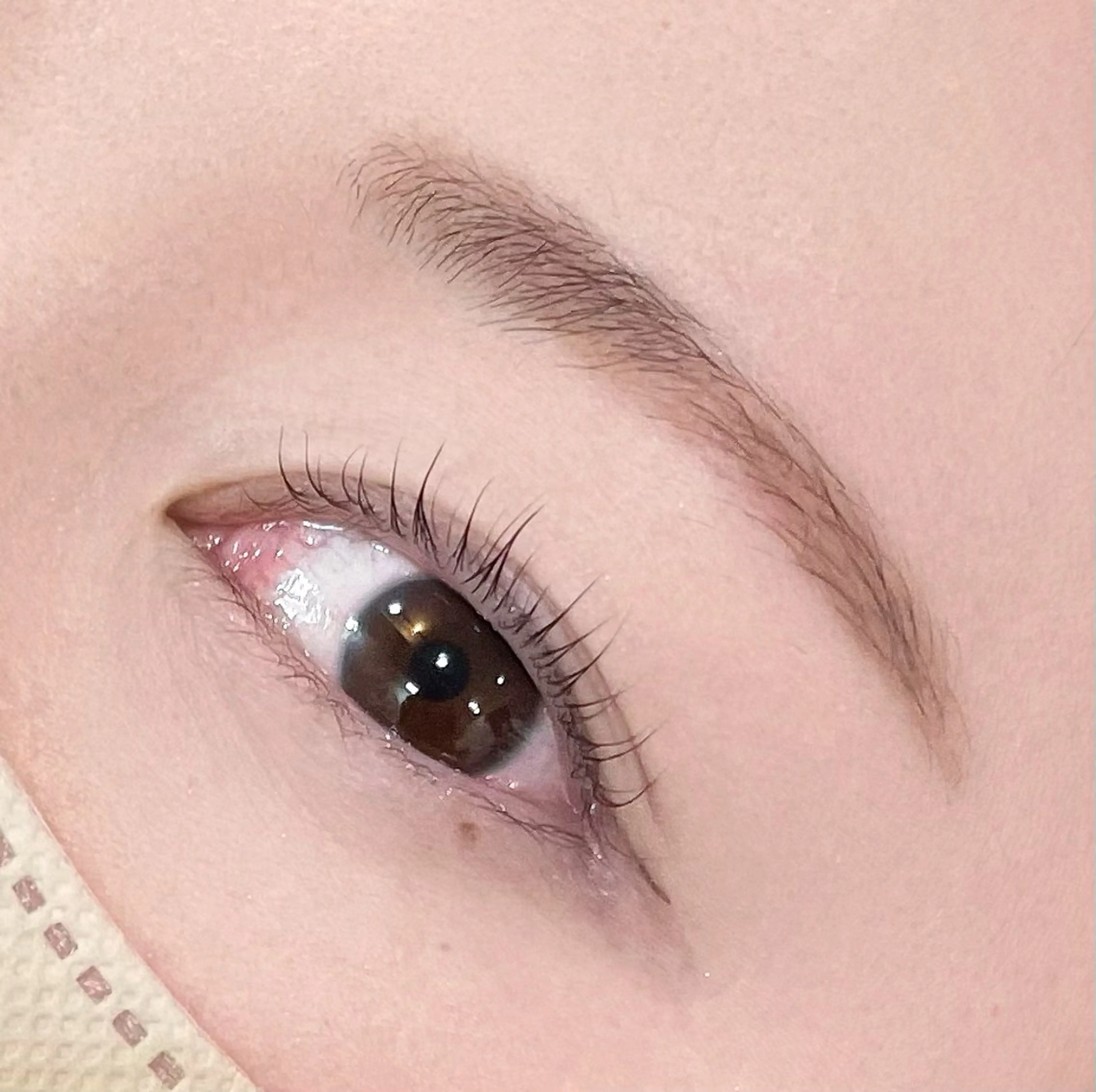 マツエク・マツパ EYELA(アイラ)柏店所属・👑EYELA 柏／ 川村👑のマツエク・マツパデザイン