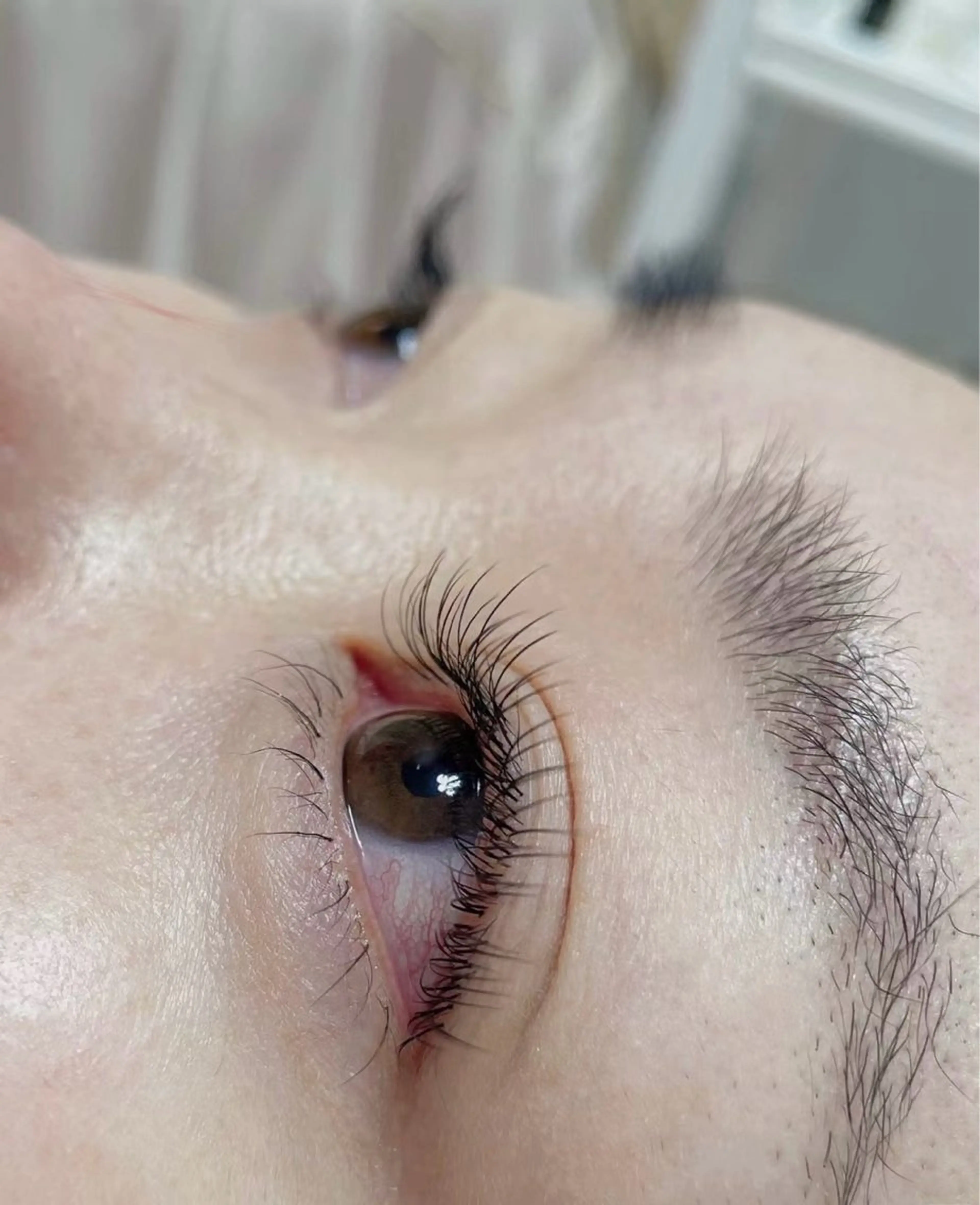 パリジェンヌラッシュリフト【下のみ】美容液付きの写真