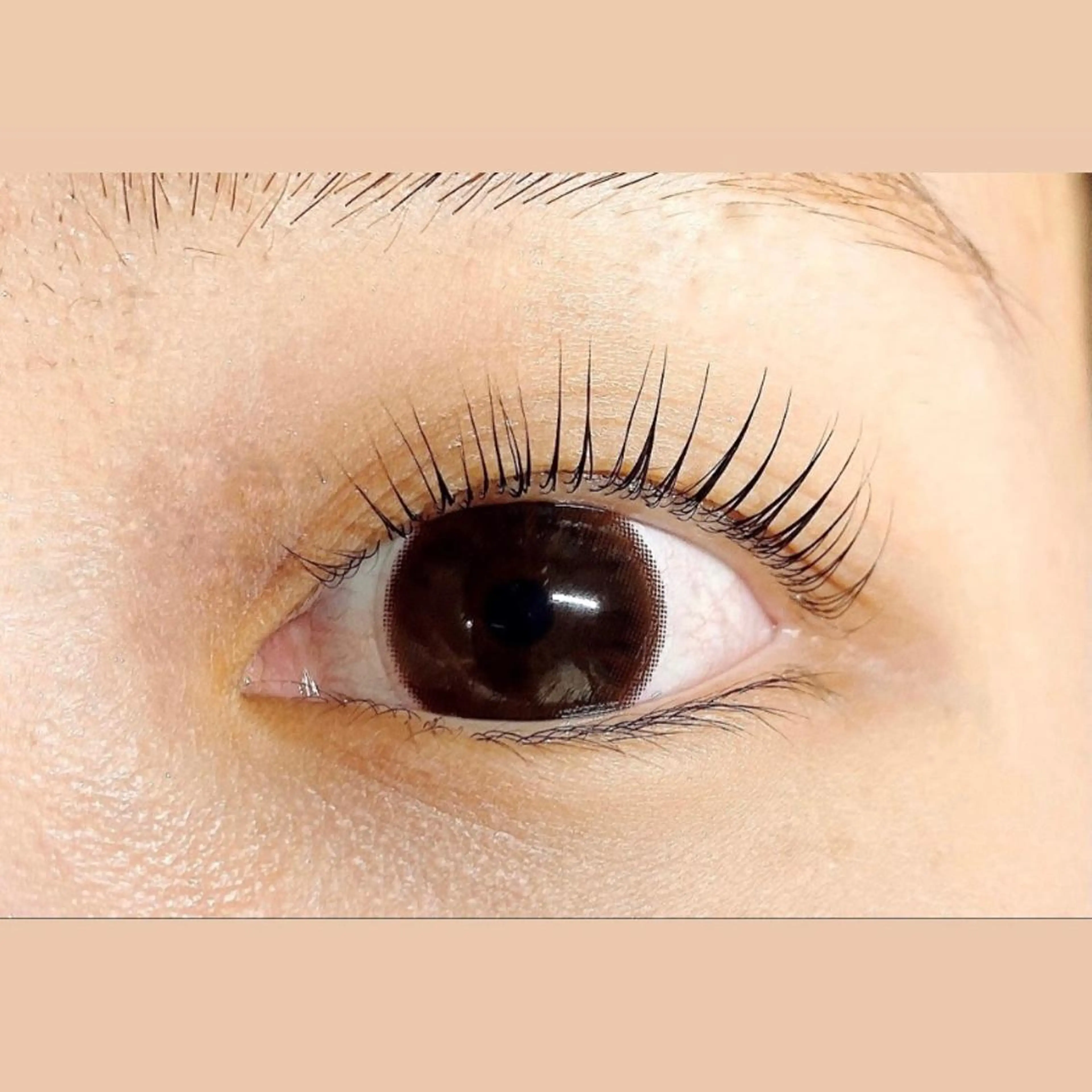 マツエク・マツパ パリジェンヌラッシュリフト eyelash clear池袋のマツエク・マツパデザイン
