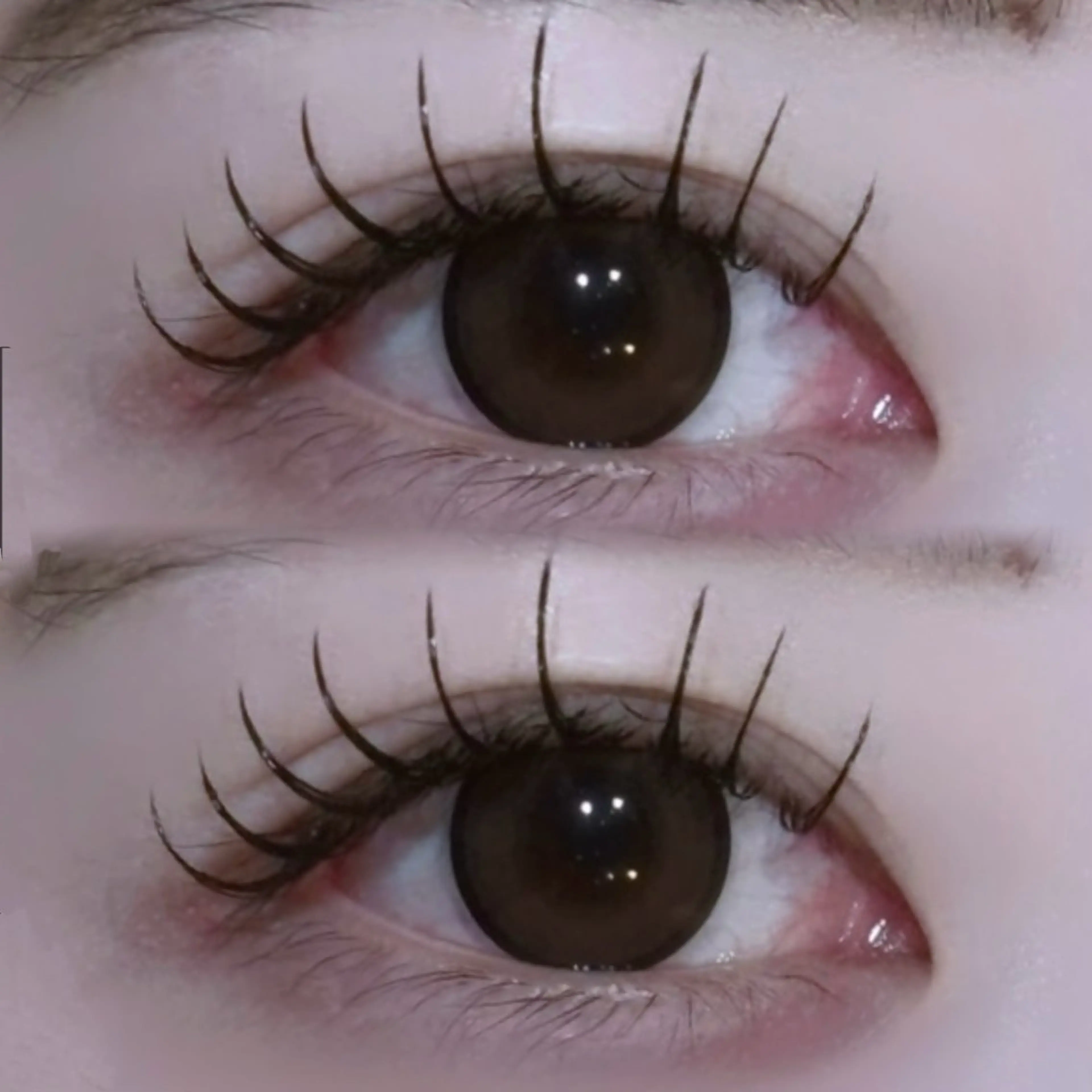 マツエク・マツパ EYELA🤍 蓜島のマツエク・マツパデザイン