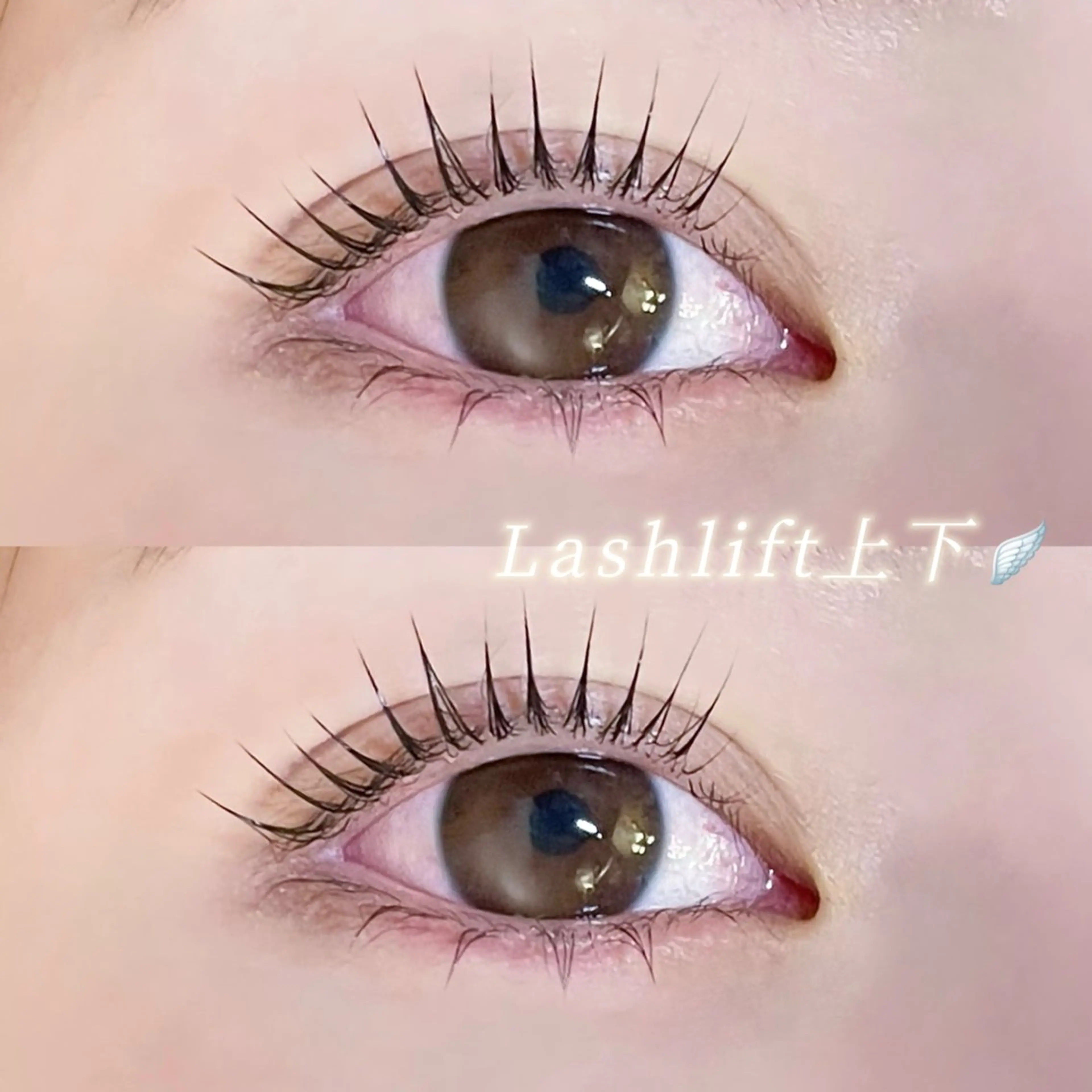 パリジェンヌorラッシュリフト上下🧸🎀の写真