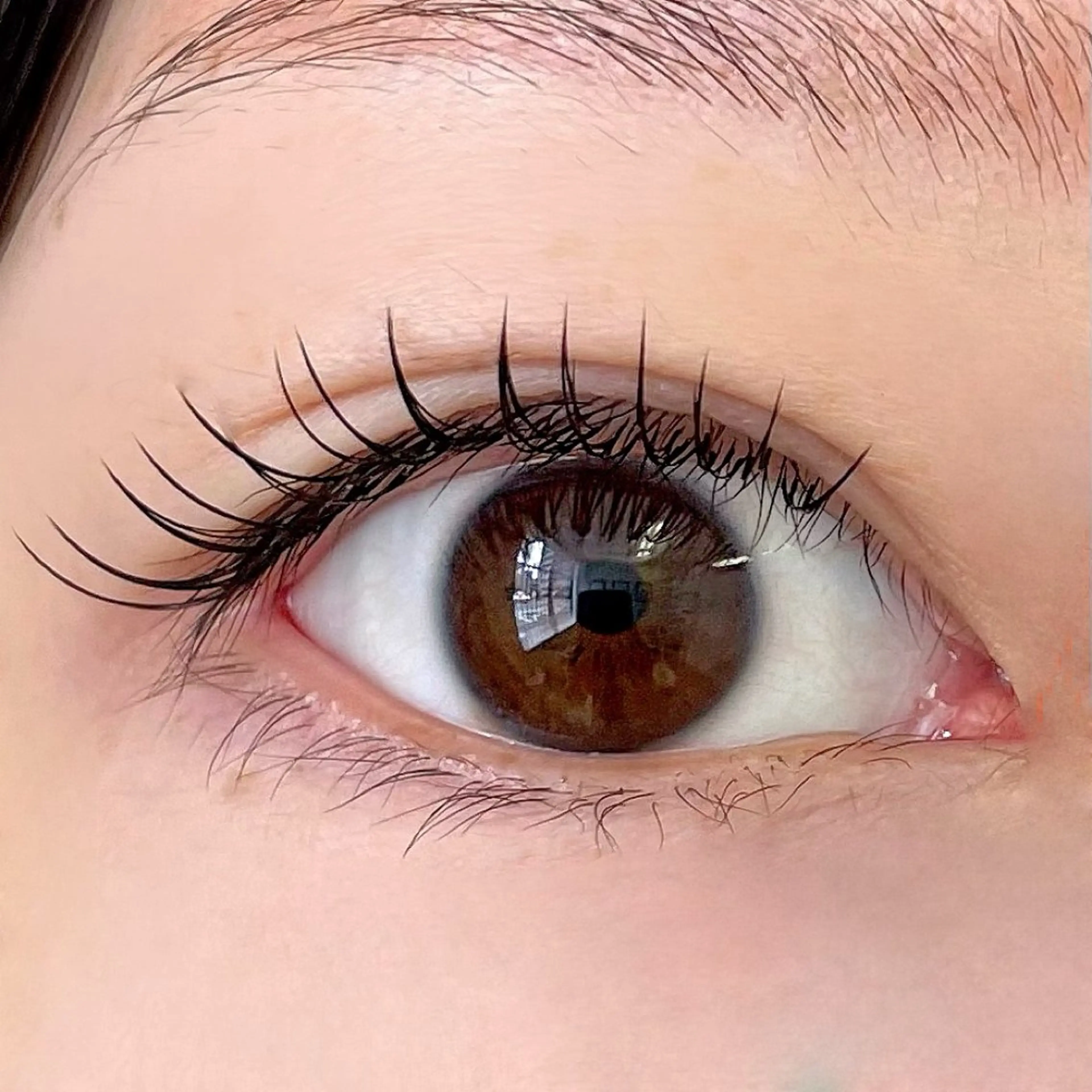 マツエク・マツパ eyelash  meme所属・eyelash memeのマツエク・マツパデザイン
