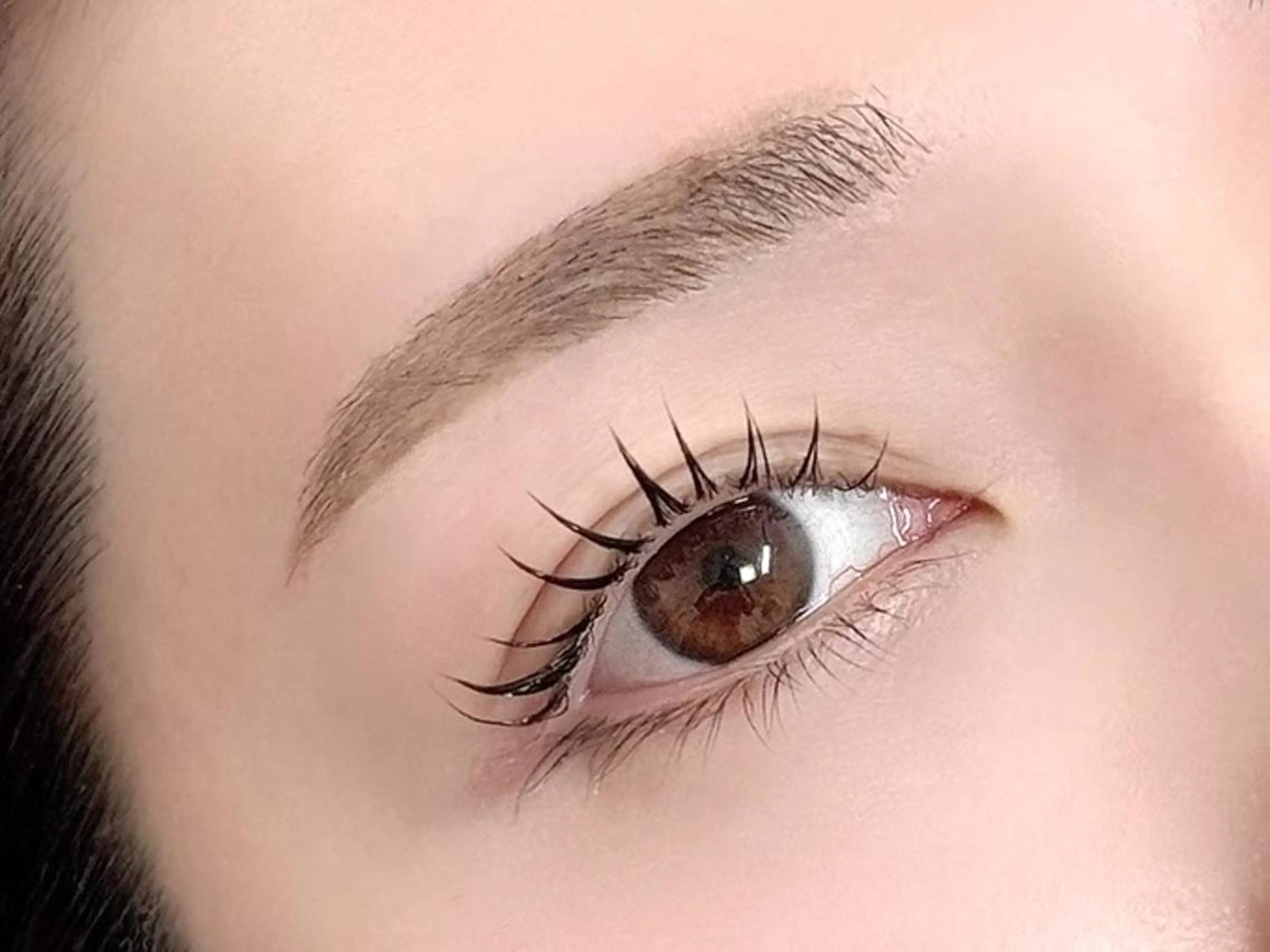 まつげパーマ＋アイブロウWAX🩷（コーティング付・束仕上げ◎・眉メイク込）の写真