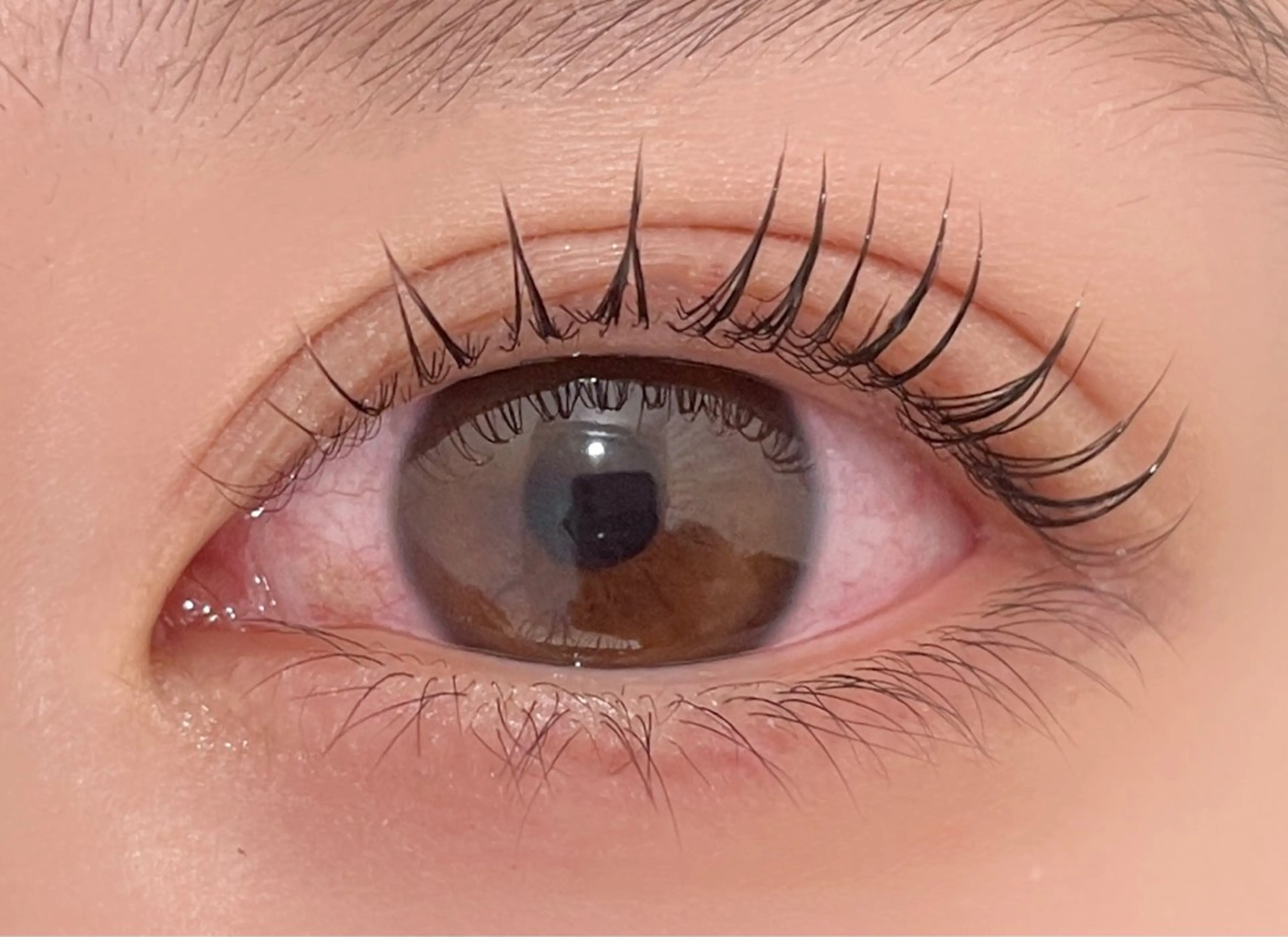 当日🆗🎀まつげパーマorパリジェンヌラッシュリフト¥7700→¥5500の写真