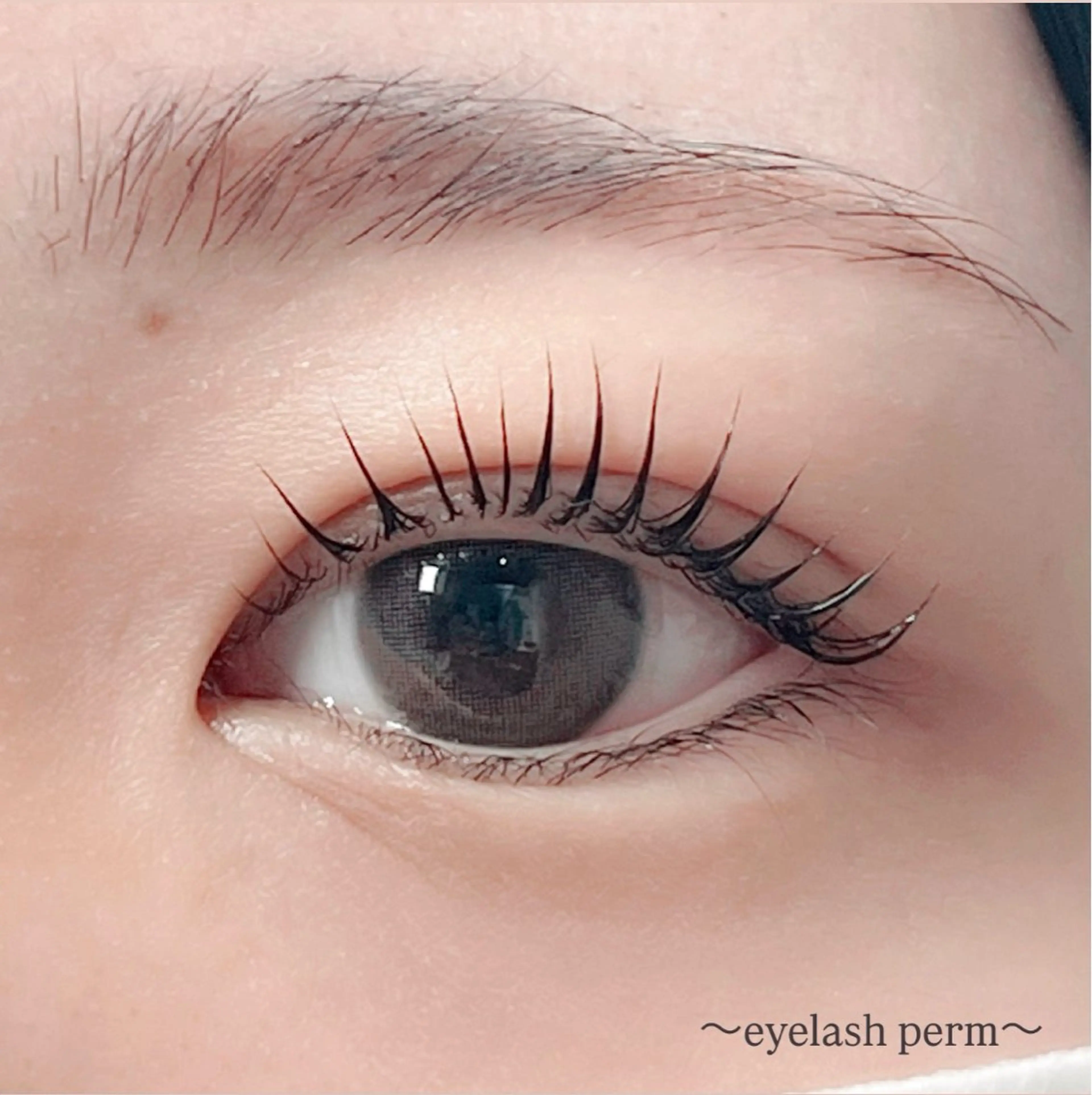 マツエク・マツパ マツパ 田村 莉子のマツエク・マツパデザイン