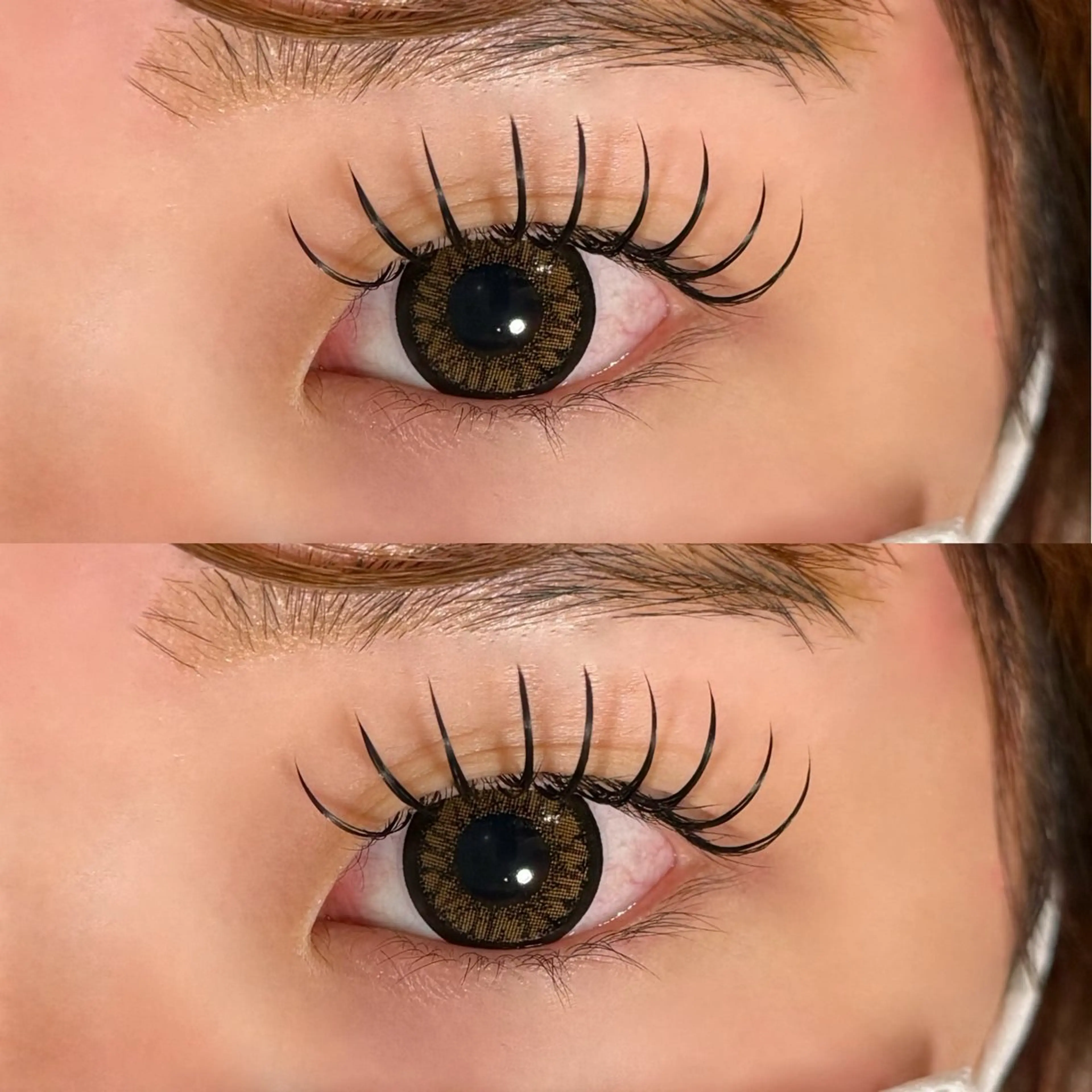 マツエク・マツパ マツエク 🐾ROAR🐾 HAZUKIのマツエク・マツパデザイン