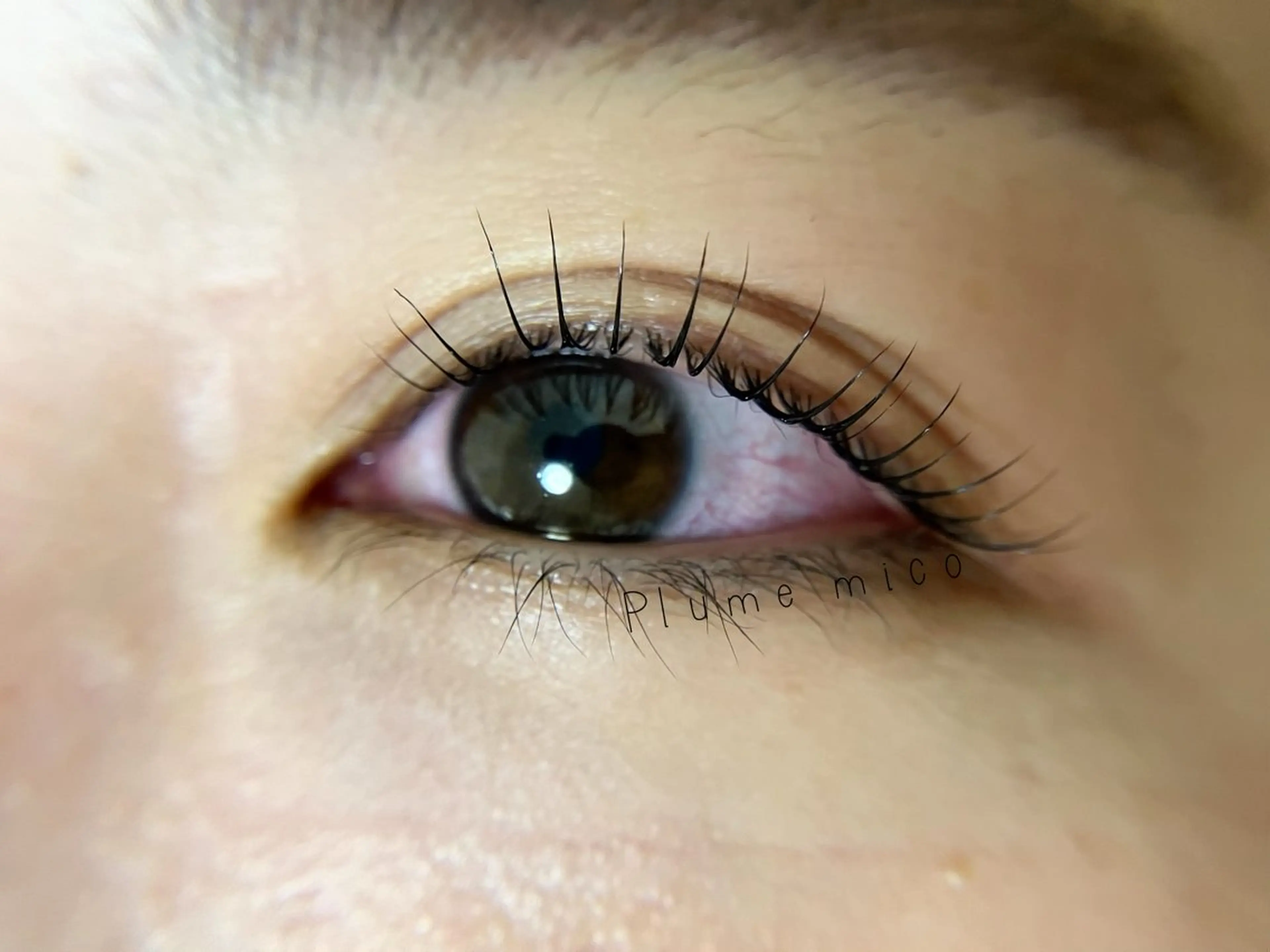 マツエク・マツパ マツパ Plume micoのマツエク・マツパデザイン