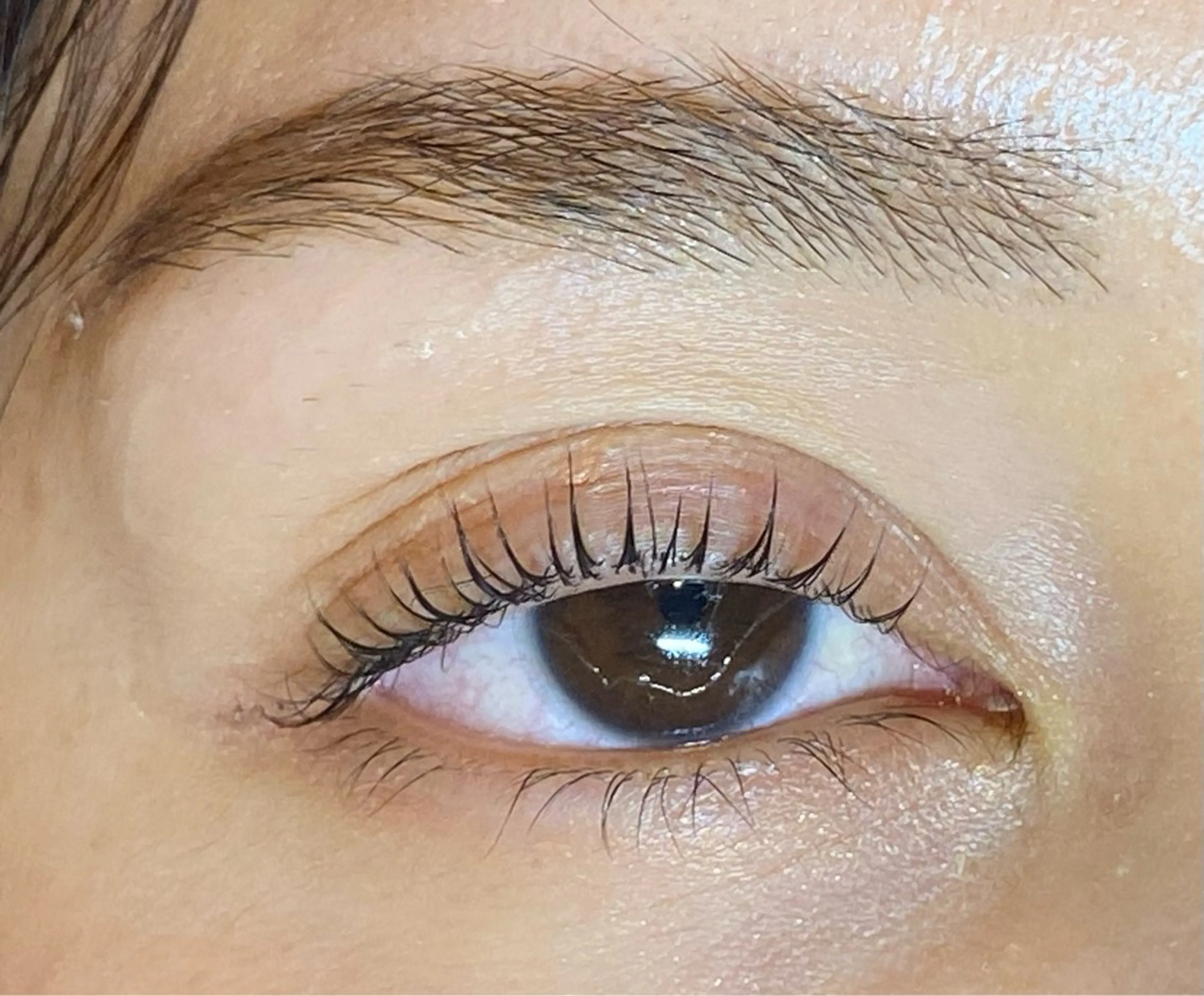 マツエク・マツパ Daisy lash 京橋店堀井のマツエク・マツパデザイン