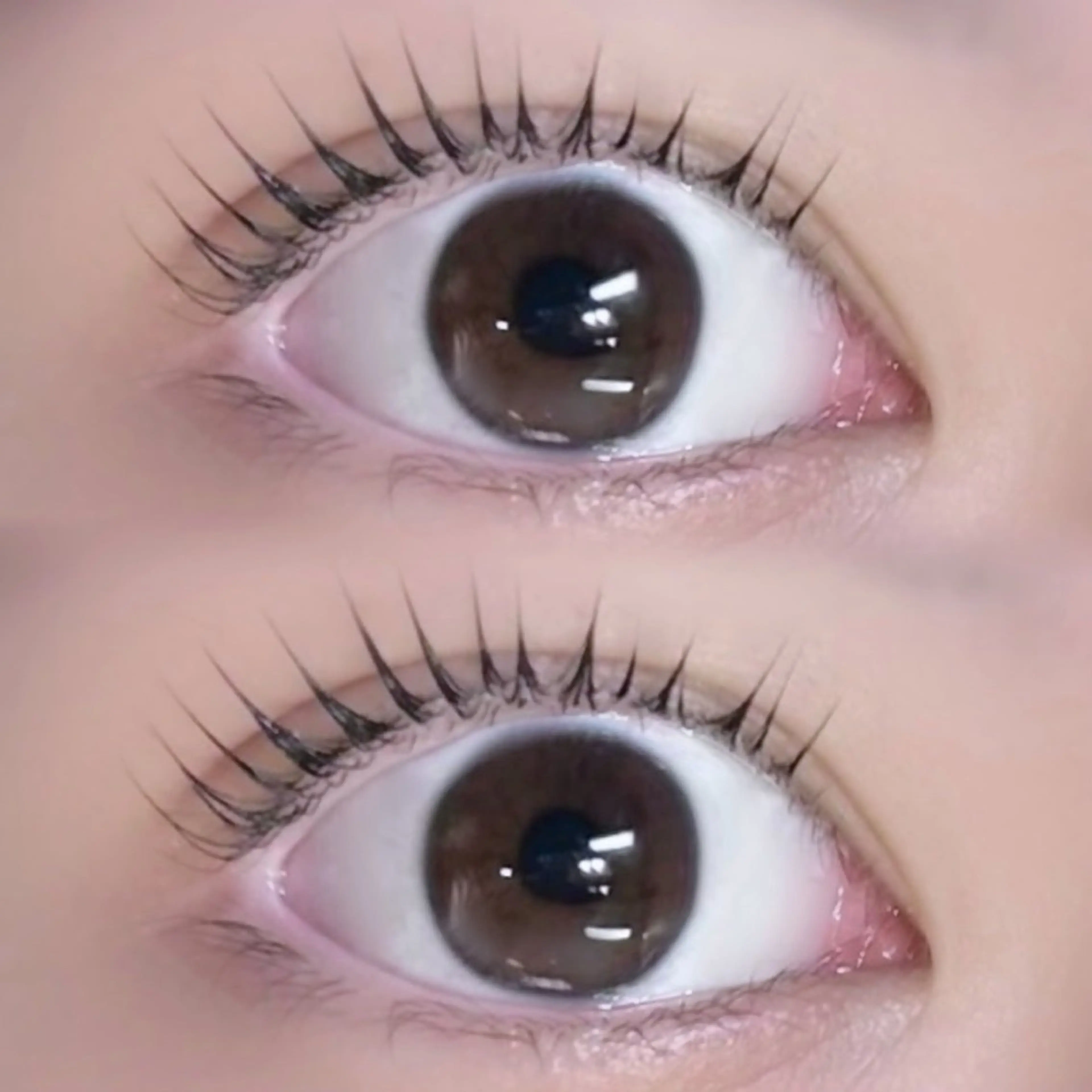 マツエク・マツパ PLATINUM DOLL アイリ💚のマツエク・マツパデザイン