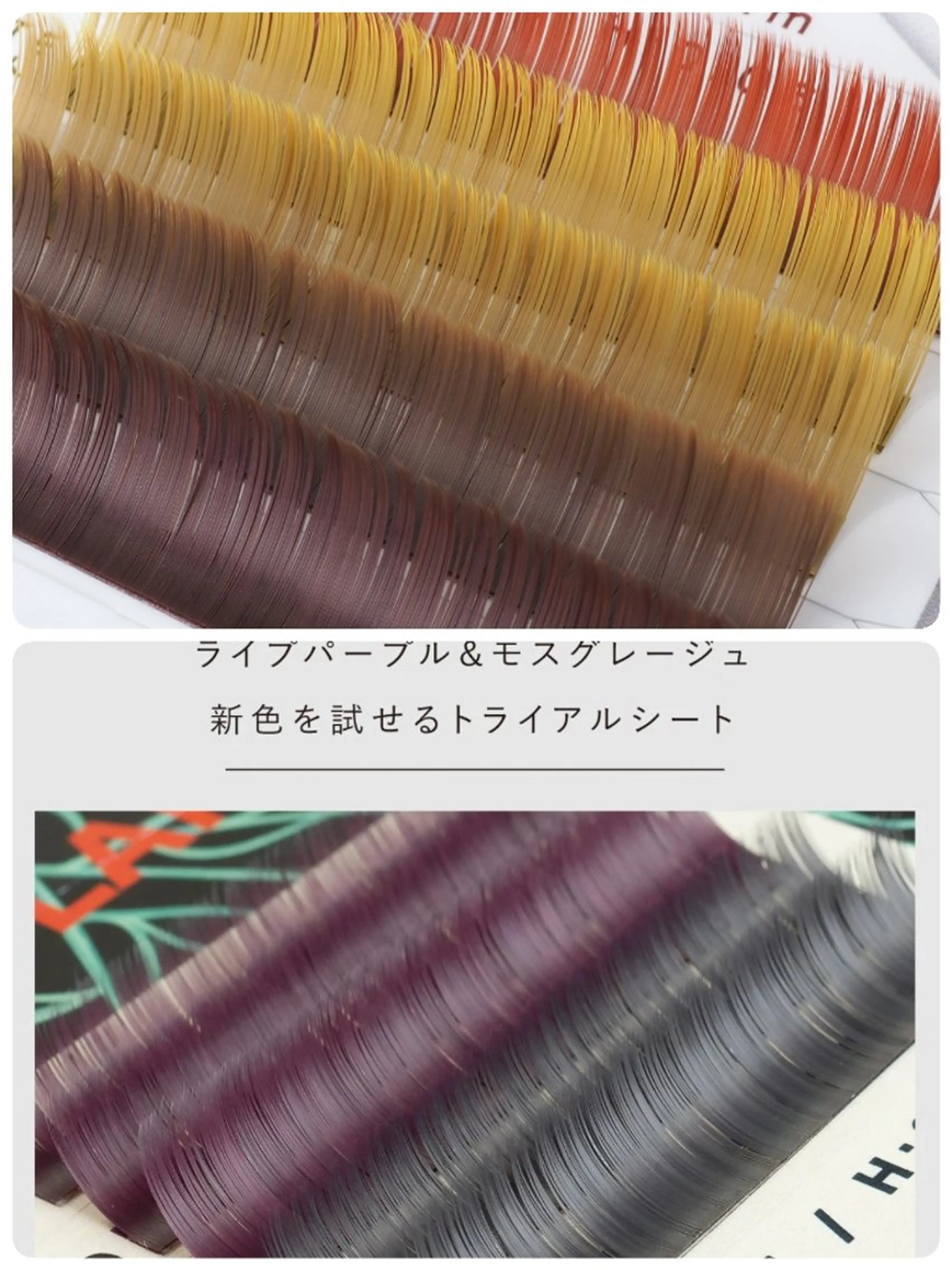 マツエク・マツパ カラーマツエク Total Beauty B☆st所属・B☆st はるのマツエク・マツパデザイン