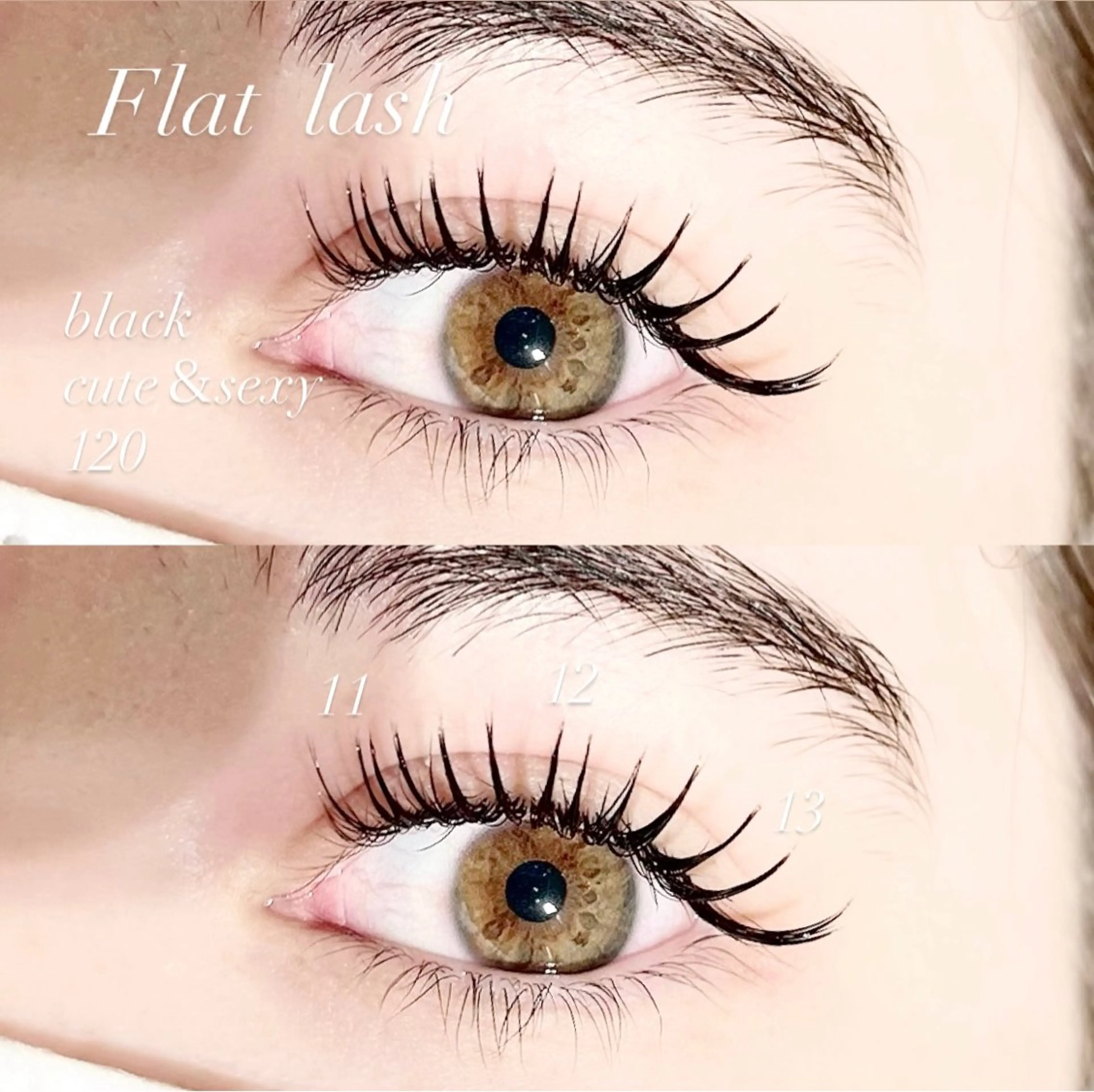 マツエク・マツパ 束感まつ毛 フラットラッシュ eyelash&eyebrow Erde所属・Erde/ horizoe🕊️の眉毛・アイブロウイメージ