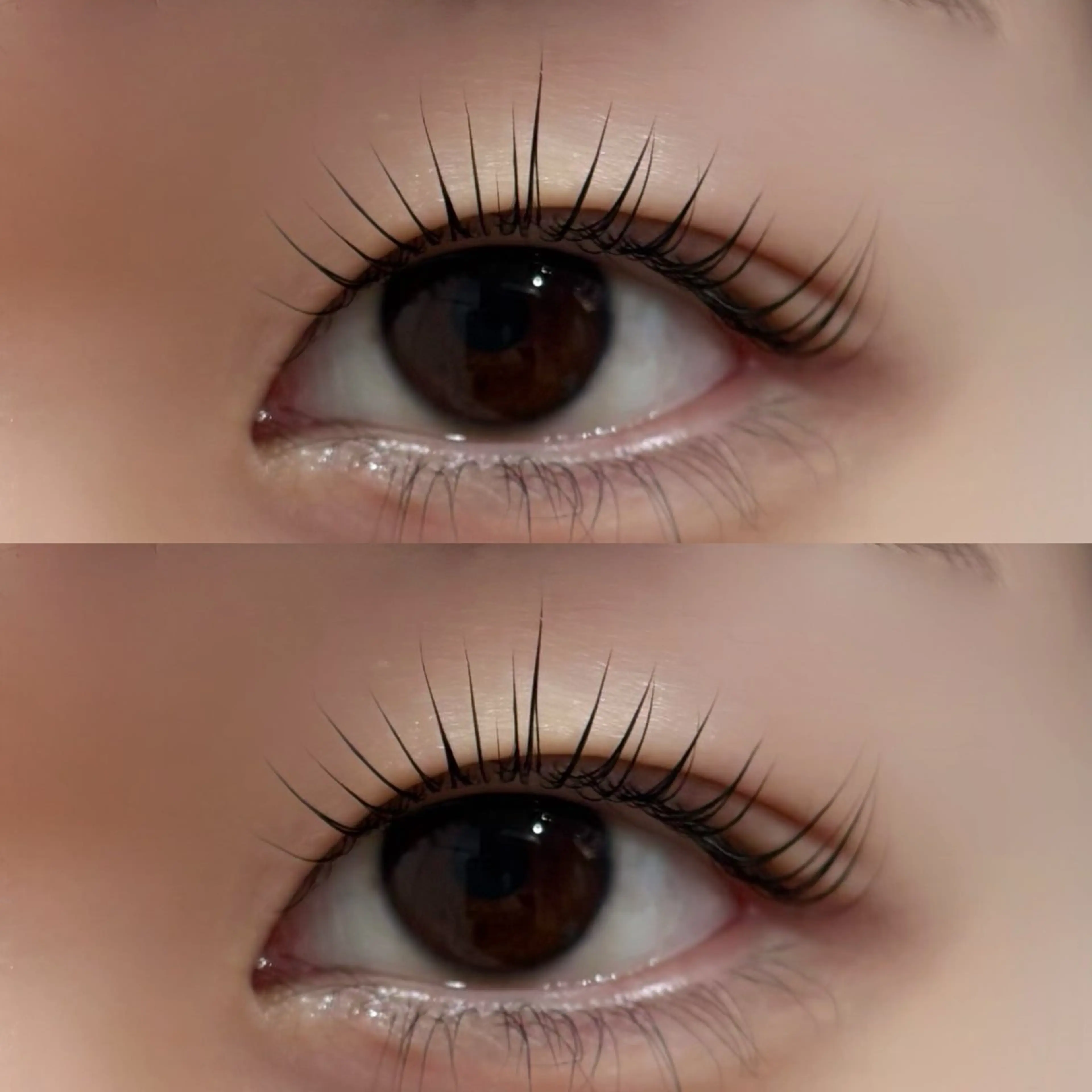 【上下】まつ毛パーマ🤍束間仕上げ◎の写真