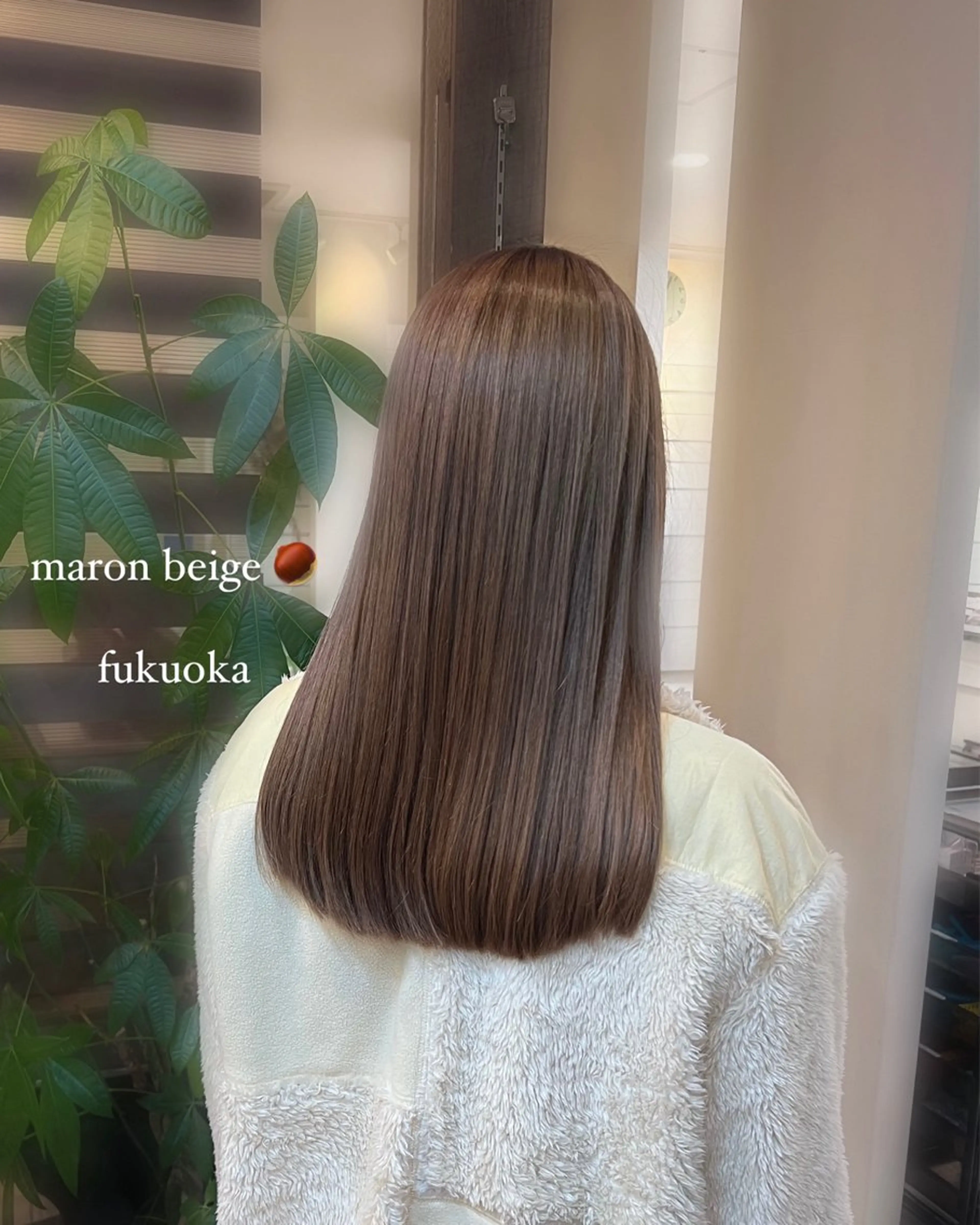 ミディアム 三原 つばさのヘアスタイル