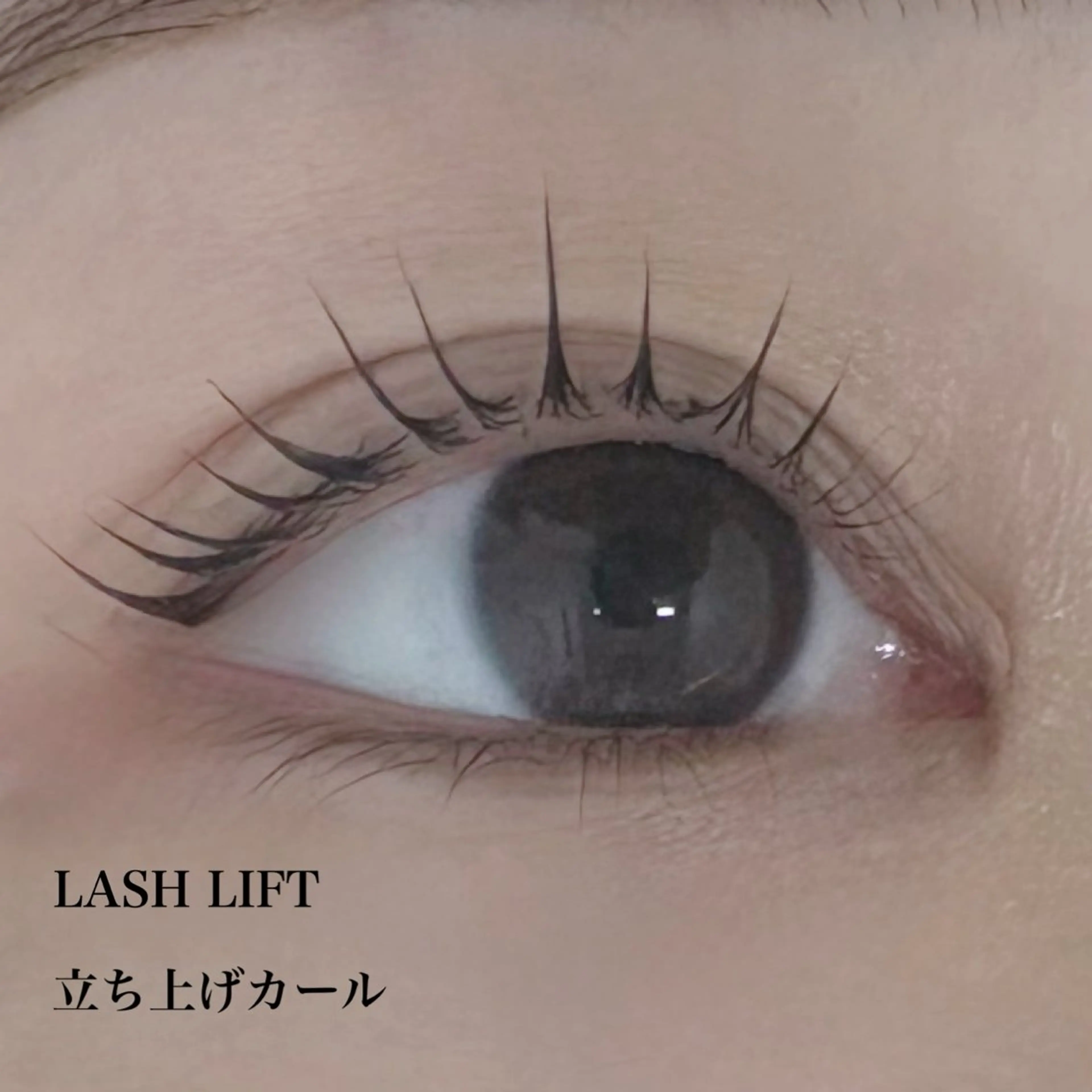 マツエク・マツパ eye mor. 高田の眉毛・アイブロウイメージ