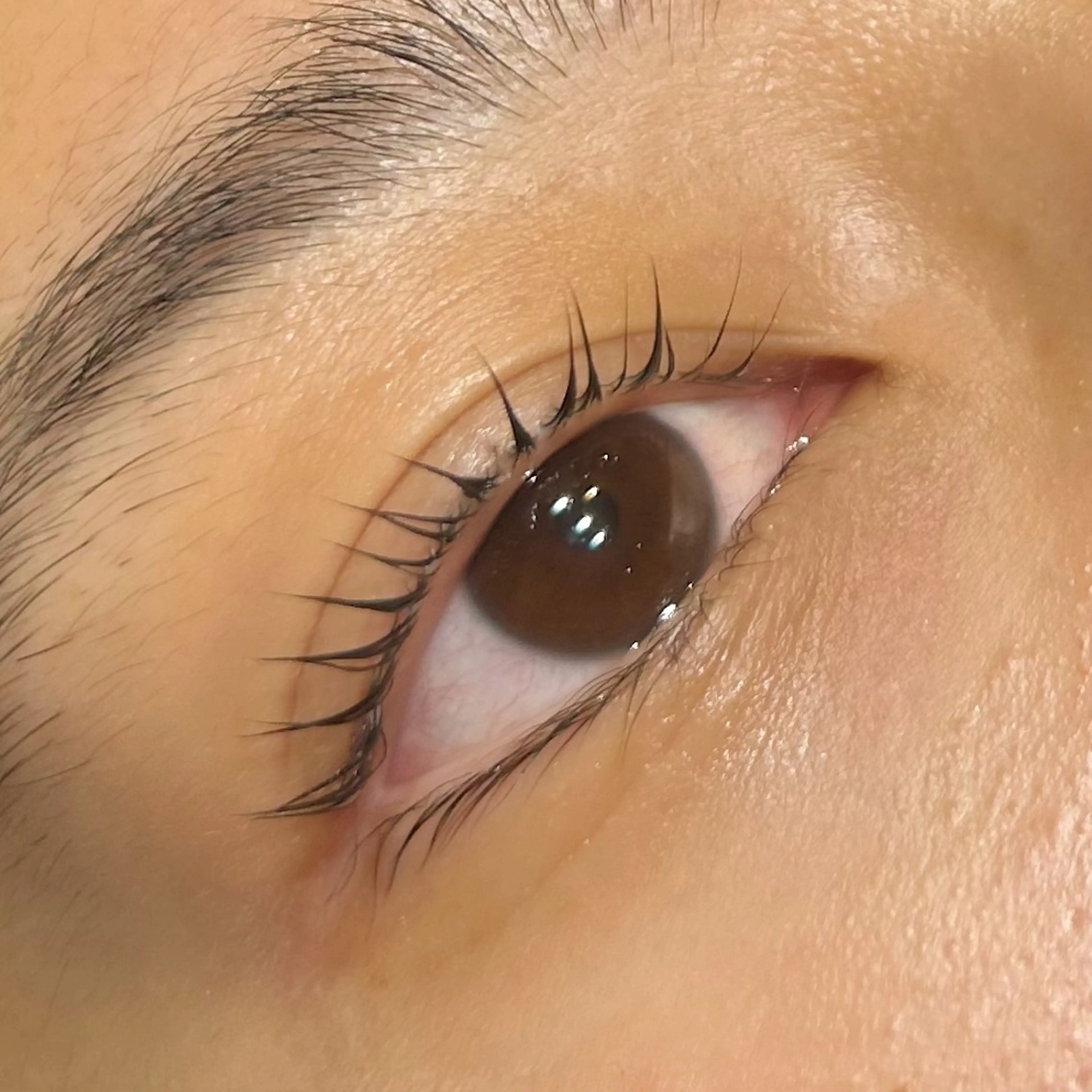 【平日ご新規様限定】次世代まつげパーマ(カール)の写真