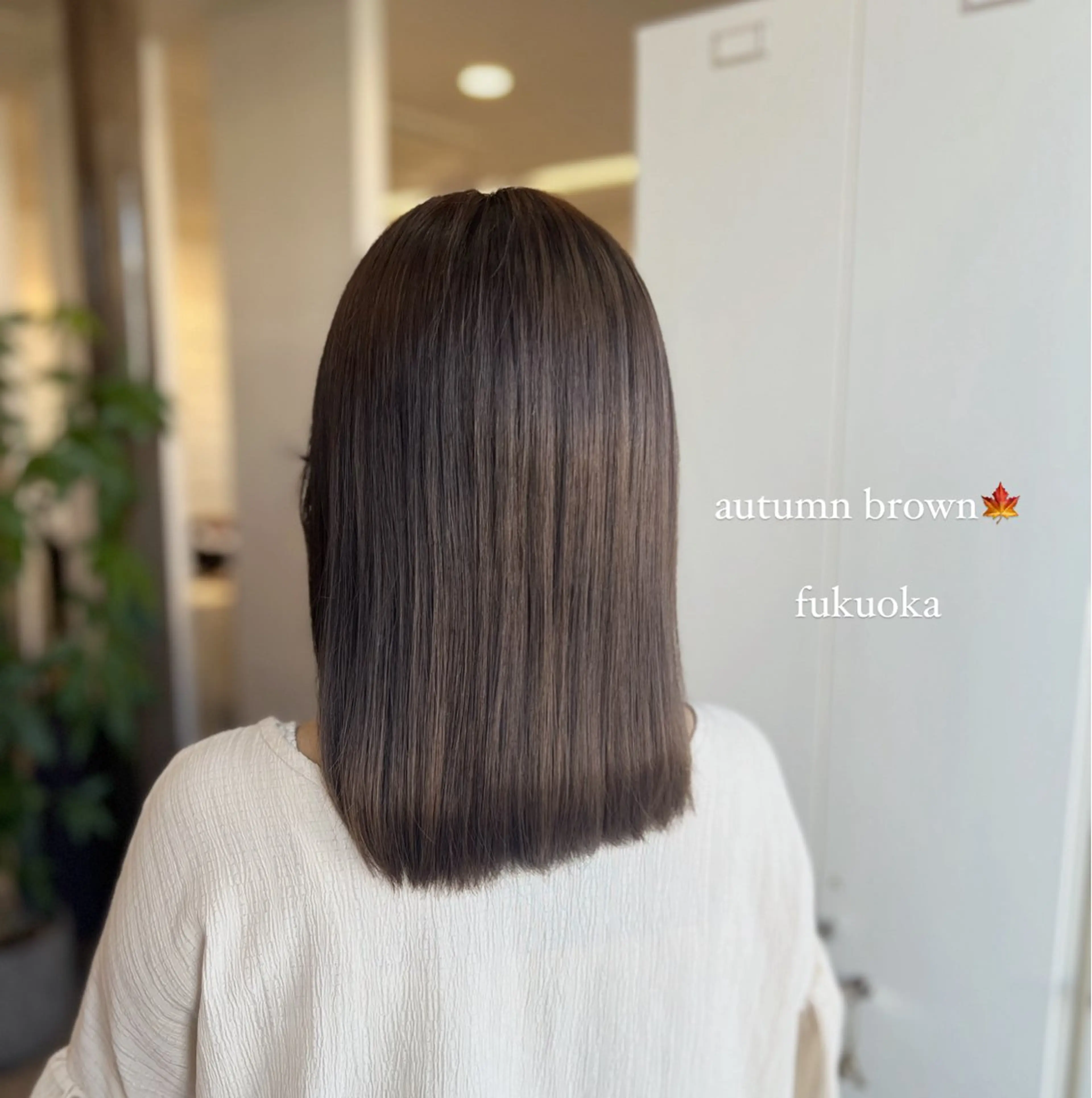 ミディアム 三原 つばさのヘアスタイル