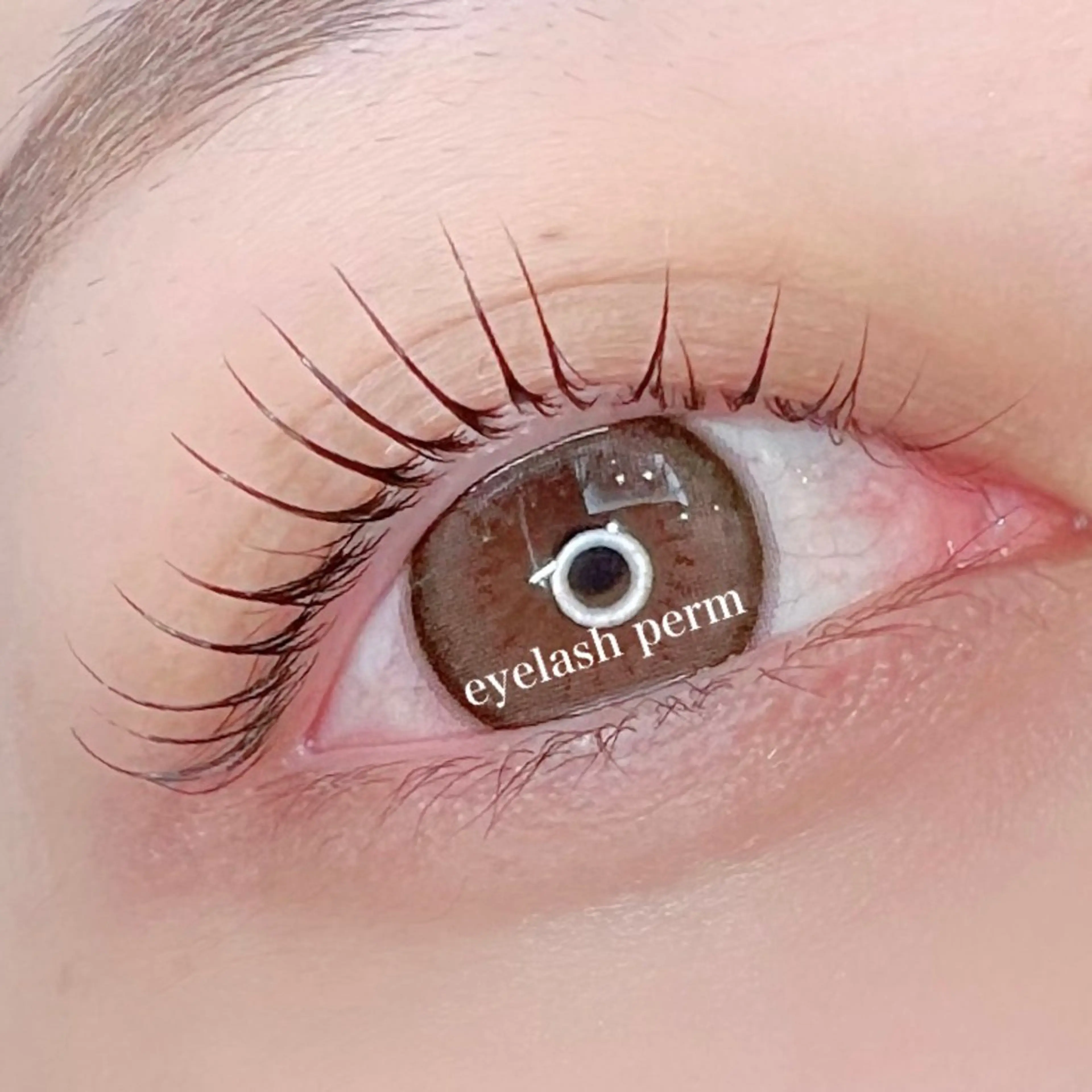 マツエク・マツパ ケラチンラッシュリフト 一重×まつ毛パーマ マツパ GREEM Eyelashのマツエク・マツパデザイン