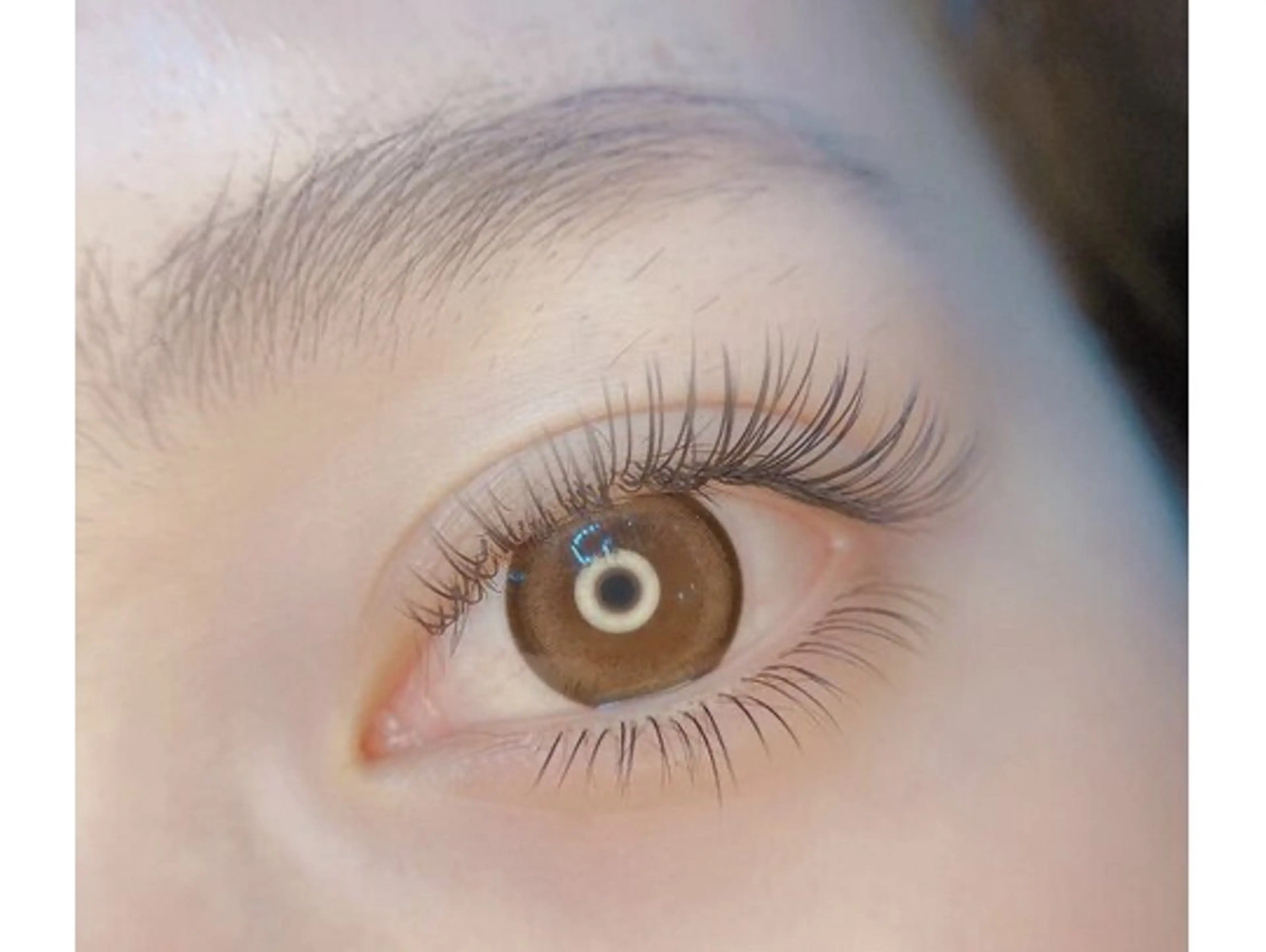 マツエク・マツパ マツエク Amour Eyelash所属・Amour Eyelashのマツエク・マツパデザイン
