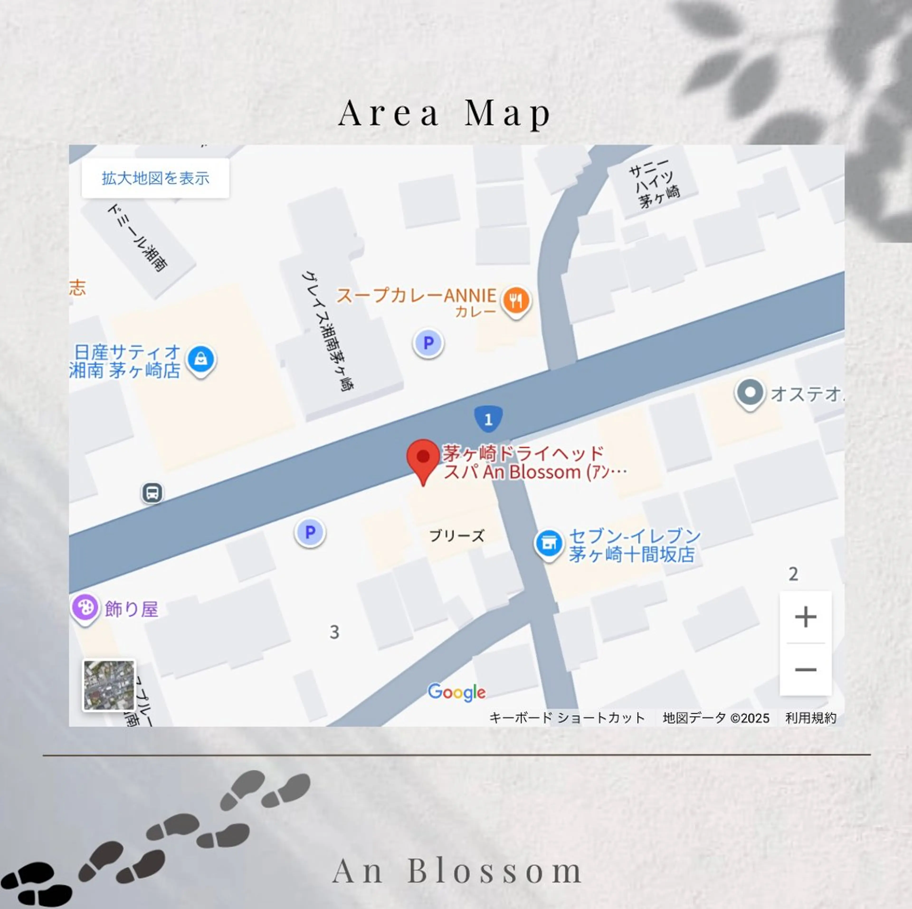 An Blossom所属・ドライヘッドスパ 奈緒/茅ヶ崎/耳ツボのその他イメージ