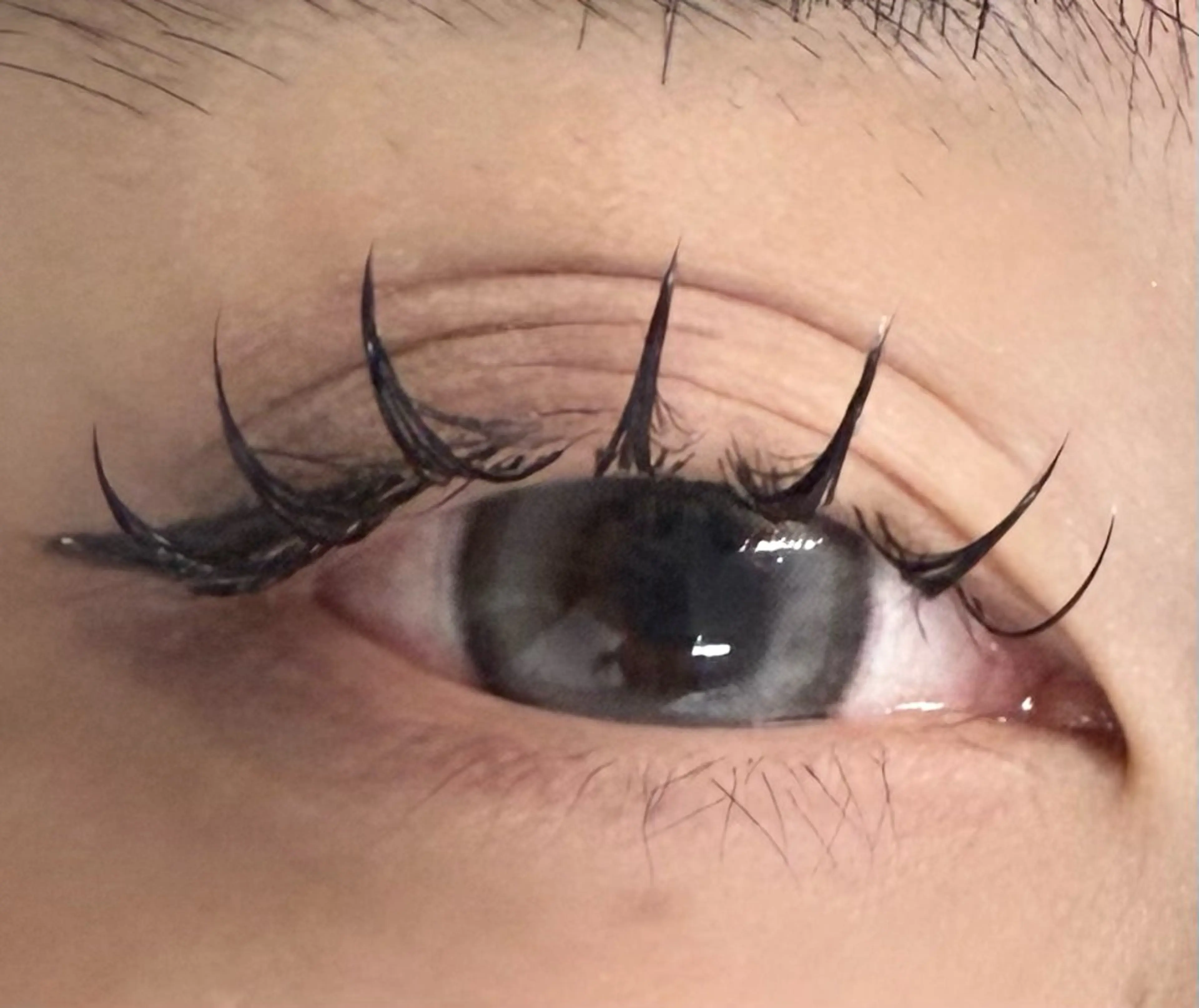 マツエク・マツパ haruka 【ever天神店】のマツエク・マツパデザイン