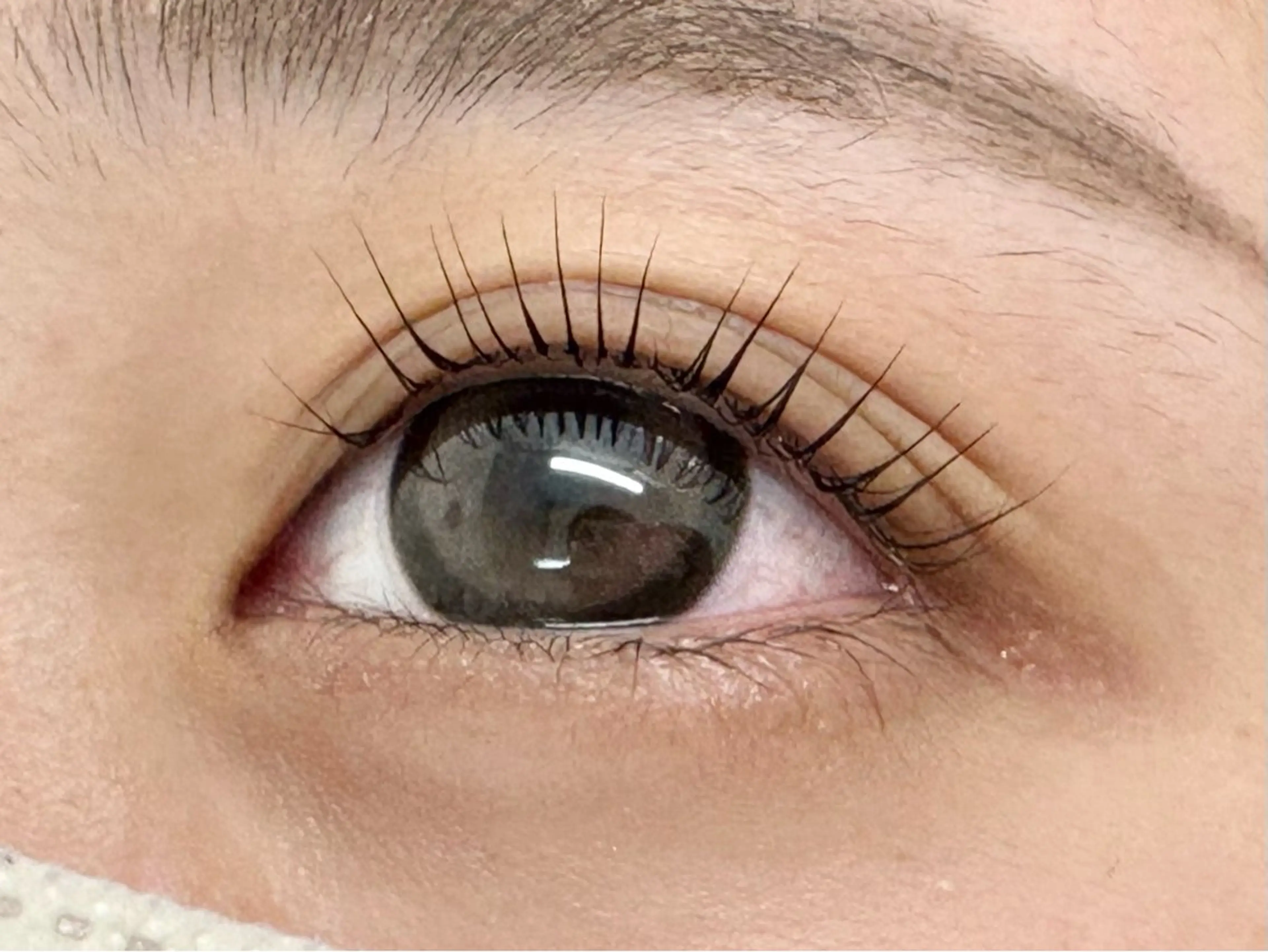 マツエク・マツパ パリジェンヌラッシュリフト Eyelash Nailsalon Neo beauty【ネオビューティー】上本町店所属・Neo beautyのマツエク・マツパデザイン