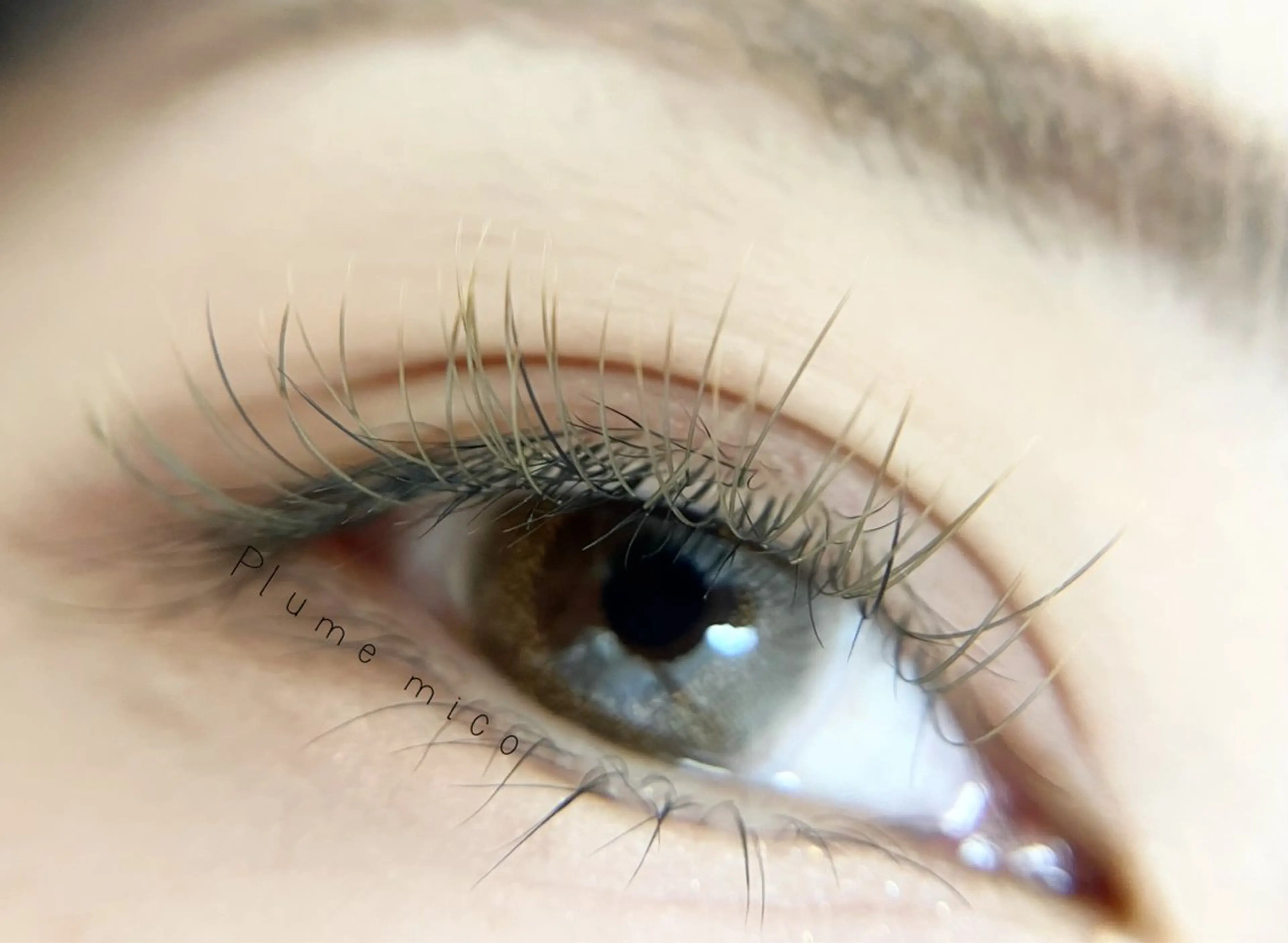 マツエク・マツパ カラーマツエク マツエク Plume micoのマツエク・マツパデザイン