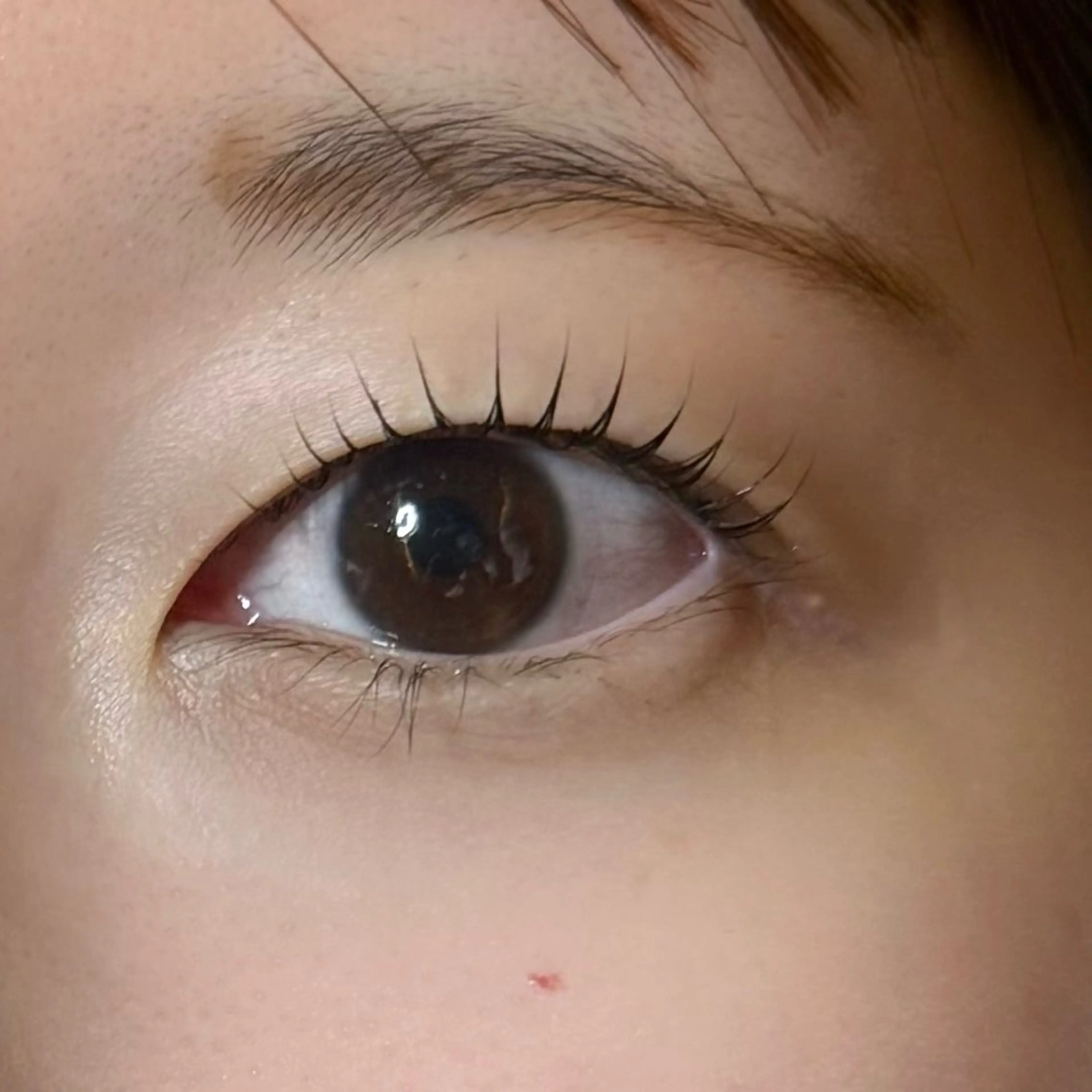 マツエク・マツパ No.3 Lash & Brow【まつ毛と眉の専門店】所属・柴田 采音の眉毛・アイブロウイメージ
