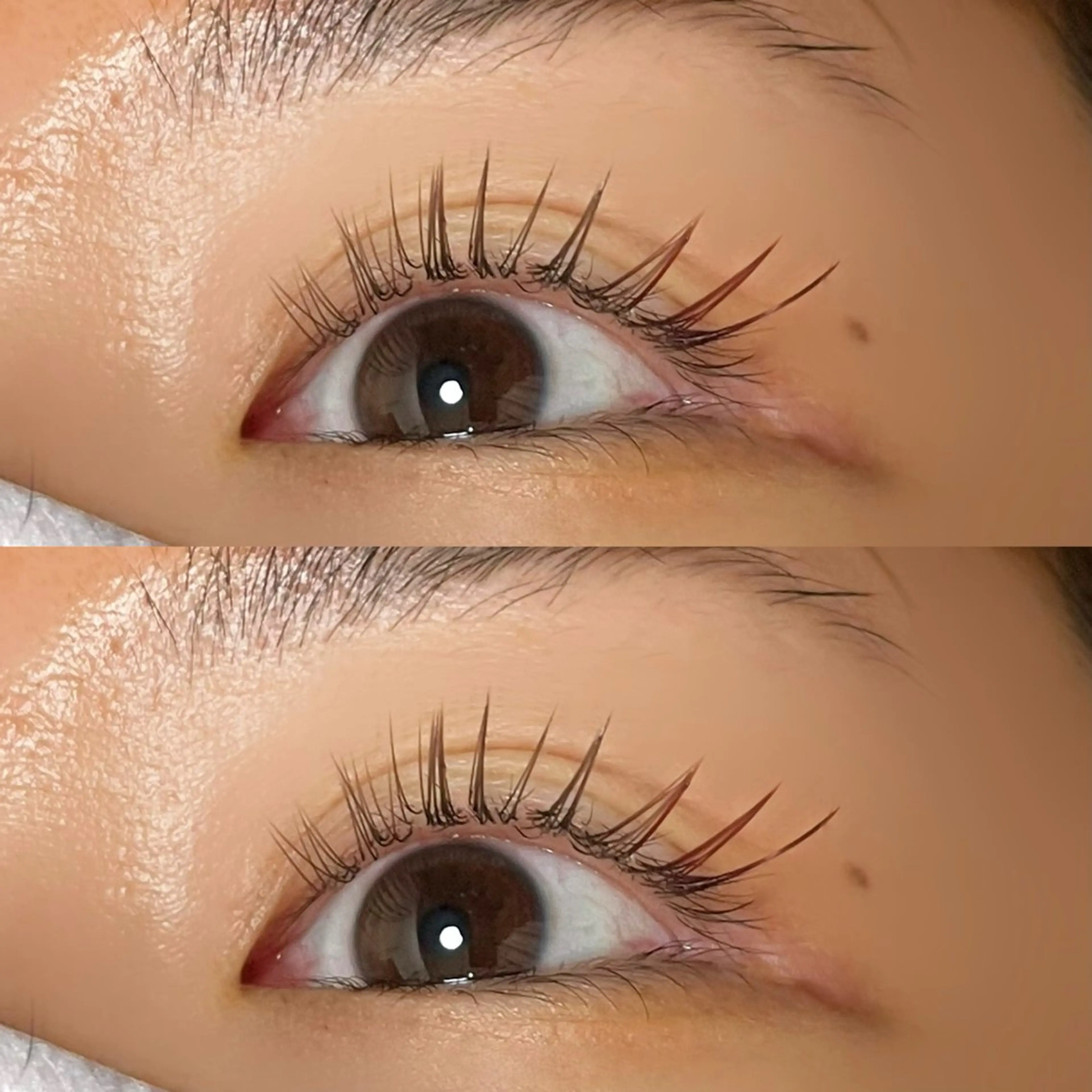 マツエク・マツパ フラットラッシュ Ayumi.dre 🌸Y《2階》のマツエク・マツパデザイン