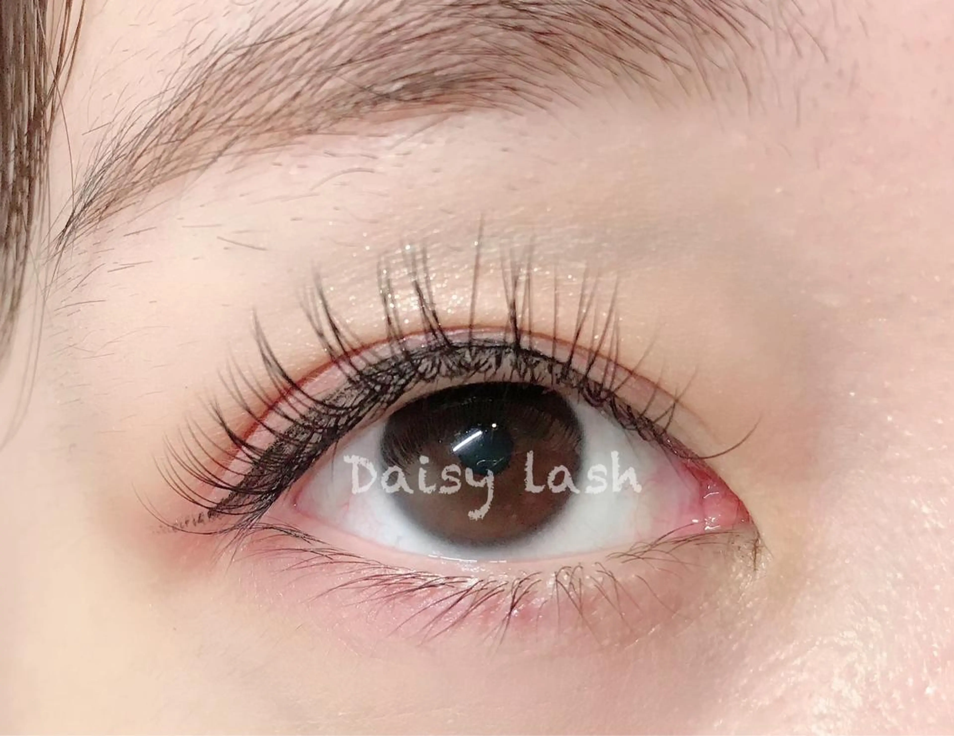 マツエク・マツパ CCカール Cカール フラットラッシュ Daisy lash 高尾のマツエク・マツパデザイン