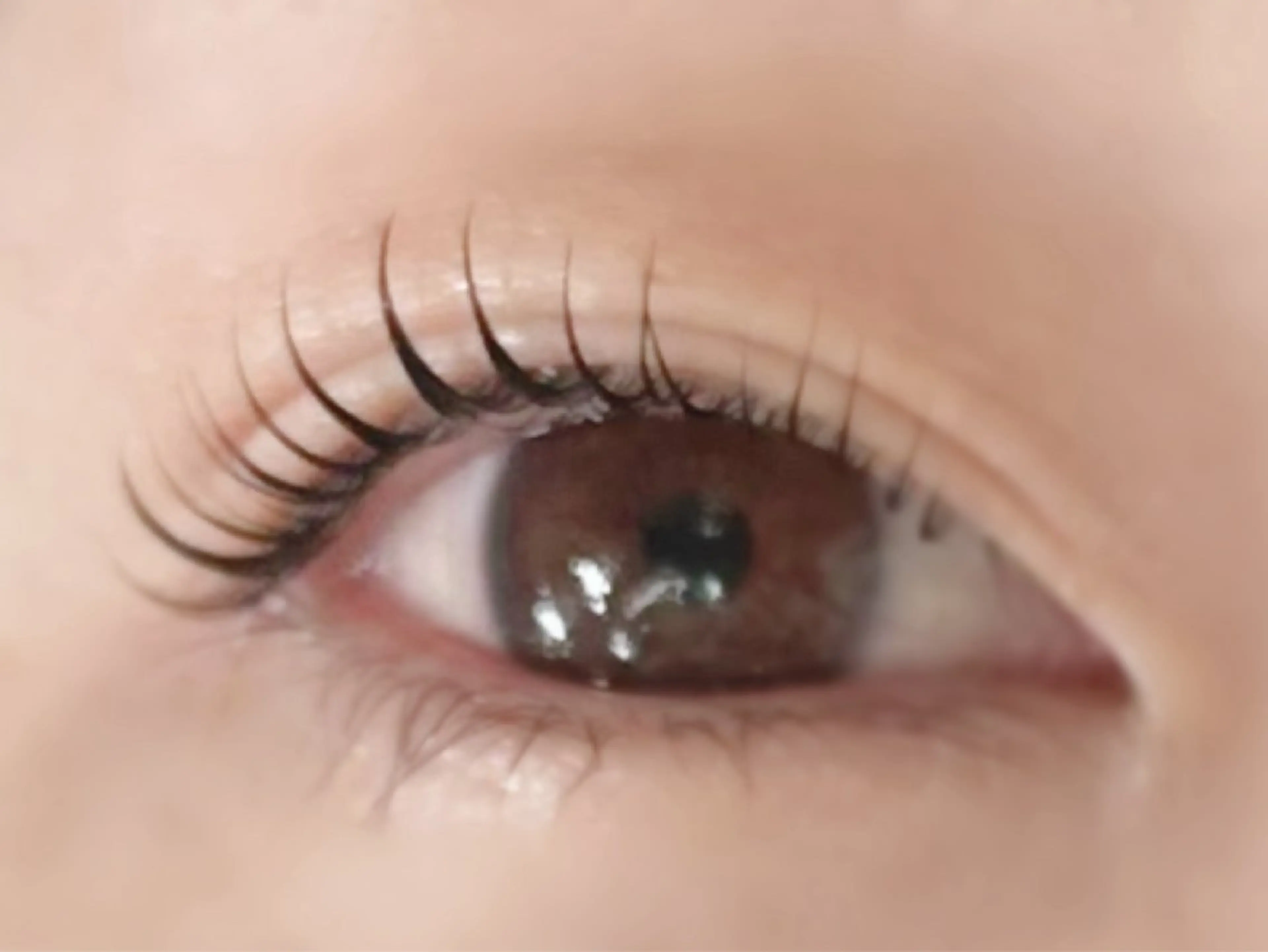 マツエク・マツパ マツパ 【felice】 Takahashiのマツエク・マツパデザイン