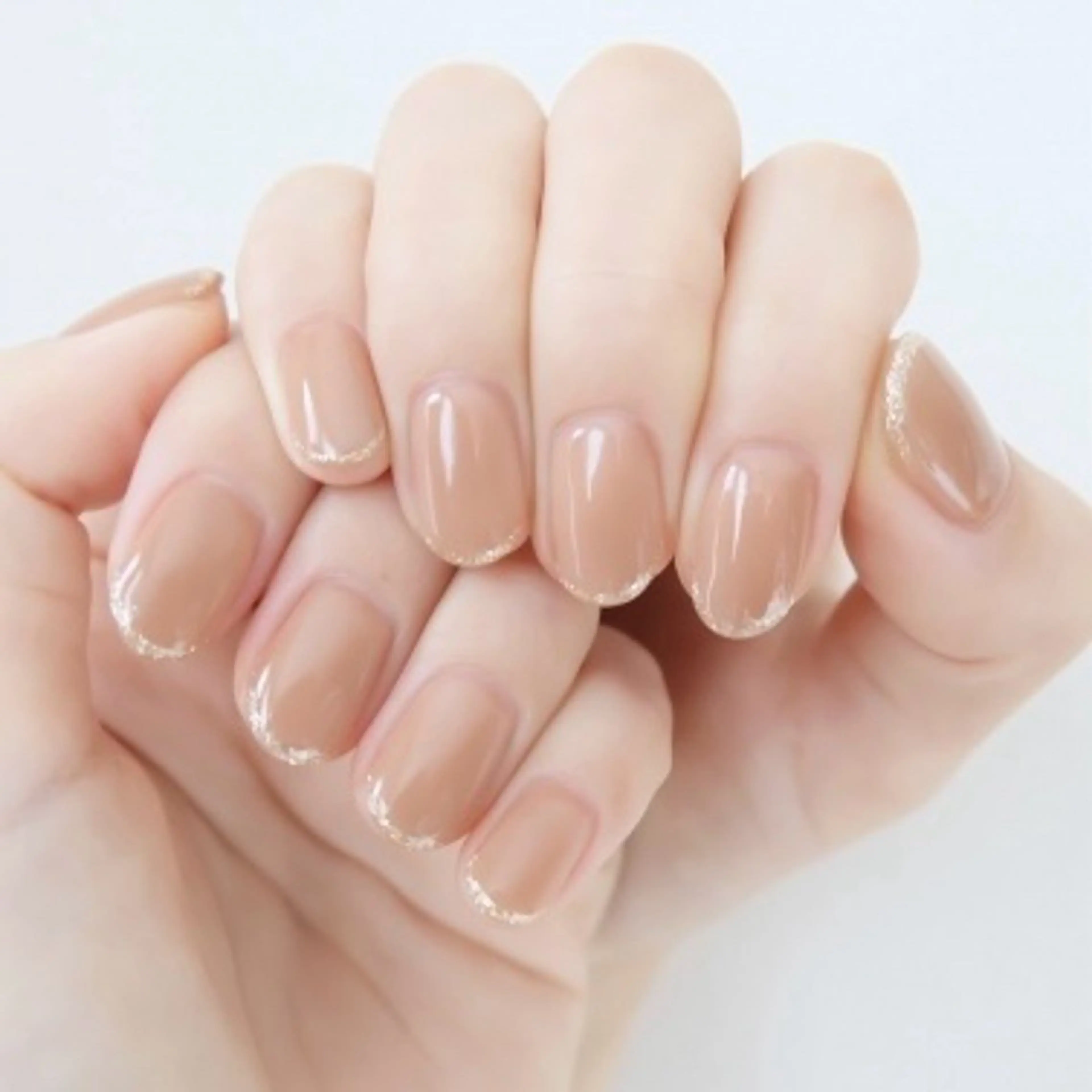 《他店オフ無料》フレンチの写真