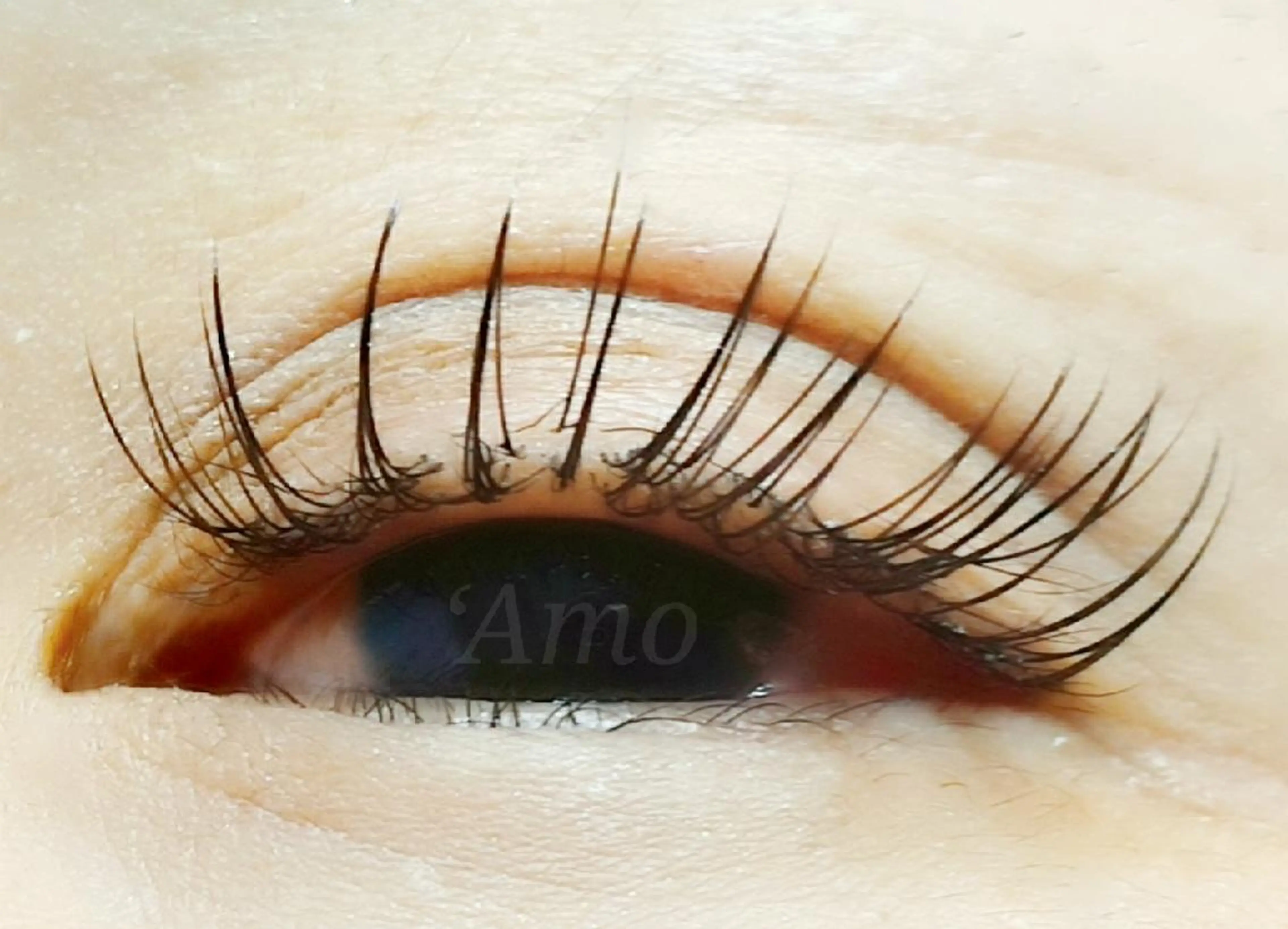 マツエク・マツパ Cカール フラットラッシュ ナチュラル ‘Amo アモのマツエク・マツパデザイン