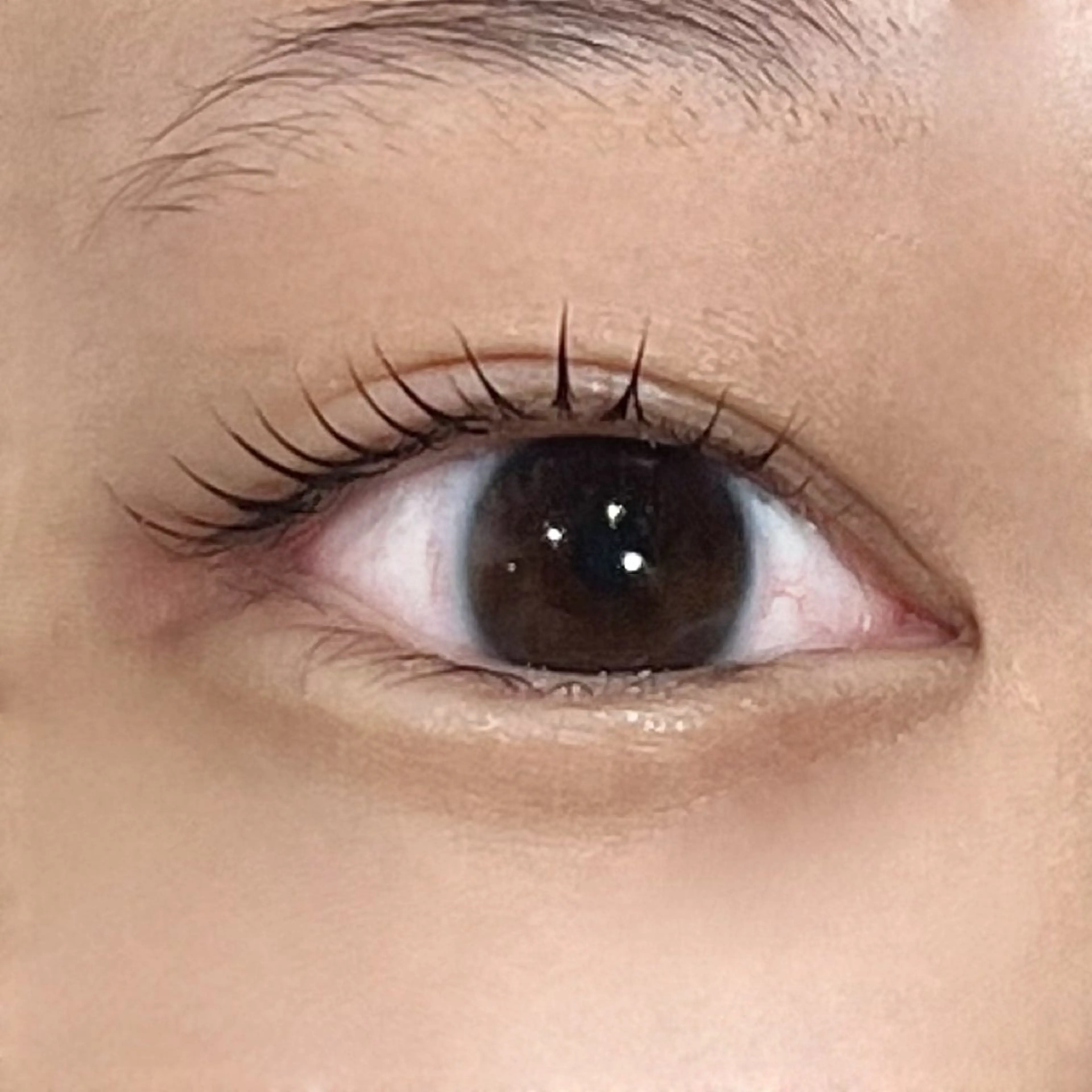 【平日限定💕🪽】似合わせまつげパーマ👀初めての方も大歓迎です！！の写真