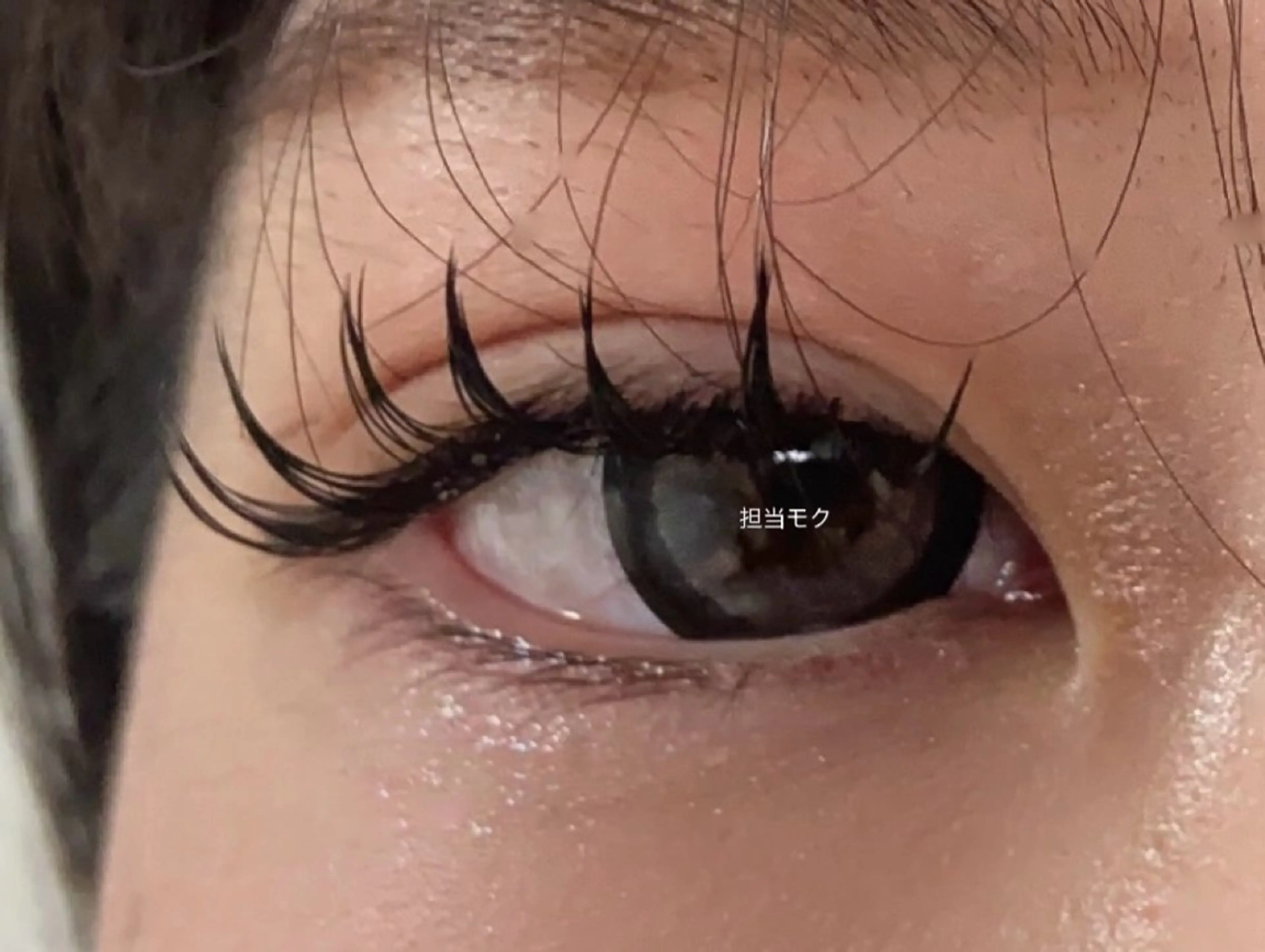 マツエク・マツパ マツエク L・ヒヒアイラッシュ 沐（moku）のマツエク・マツパデザイン