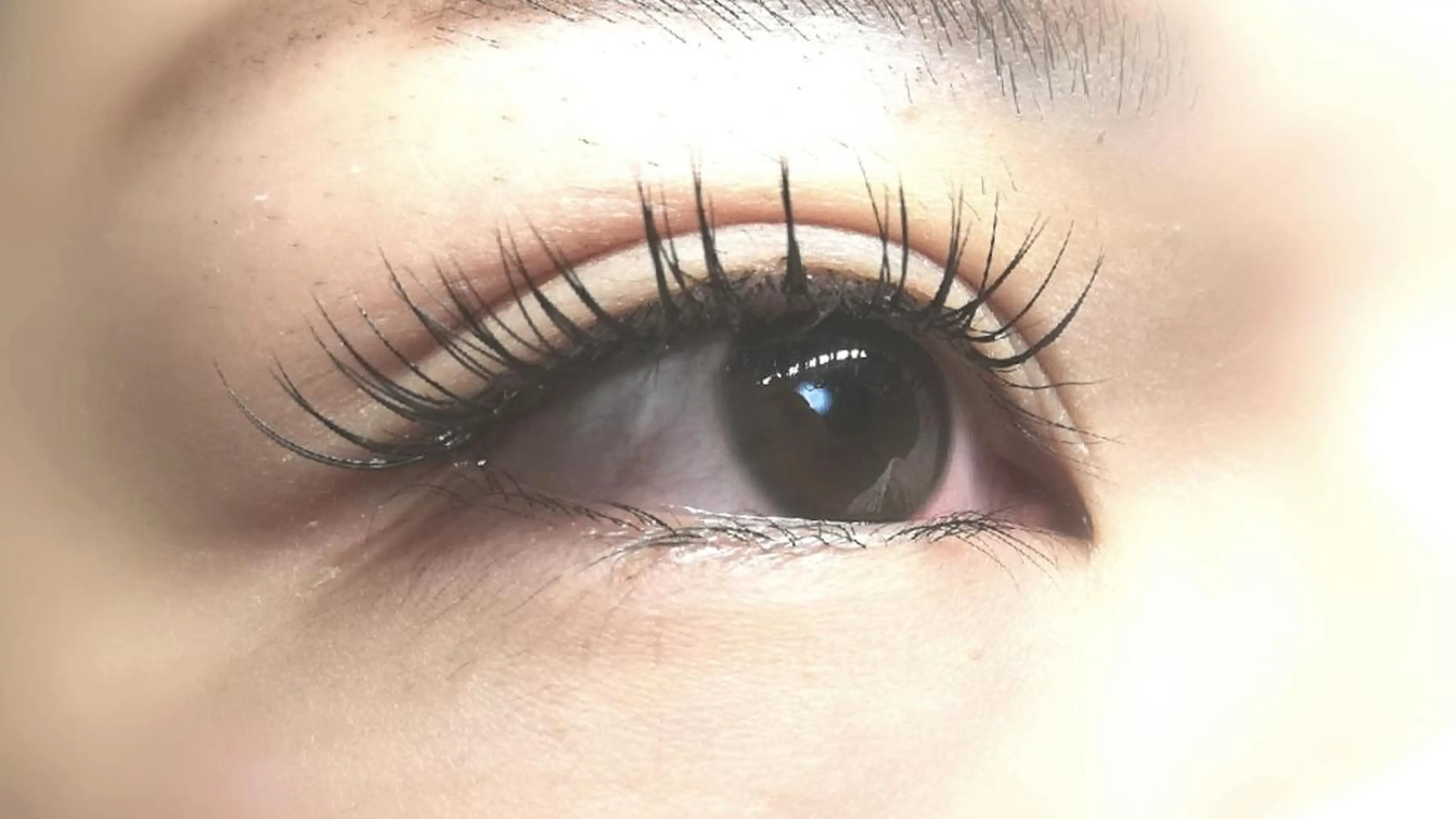 マツエク・マツパ Cカール キュート セーブル セクシー angelux 所属・完全個室サロン🌹 angelux🌹のマツエク・マツパデザイン