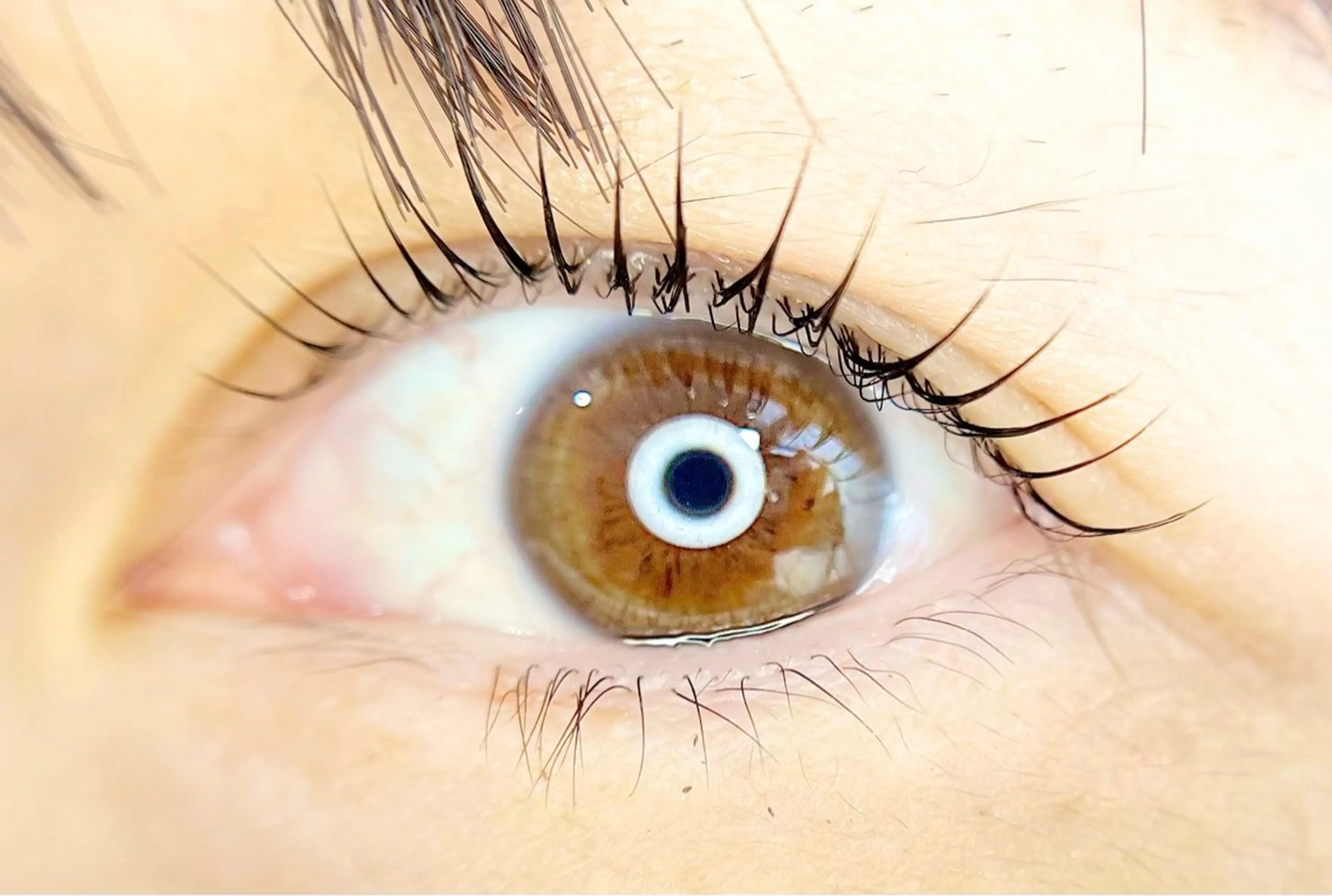 マツエク・マツパ un par un アンパルアン所属・un par unの眉毛・アイブロウイメージ