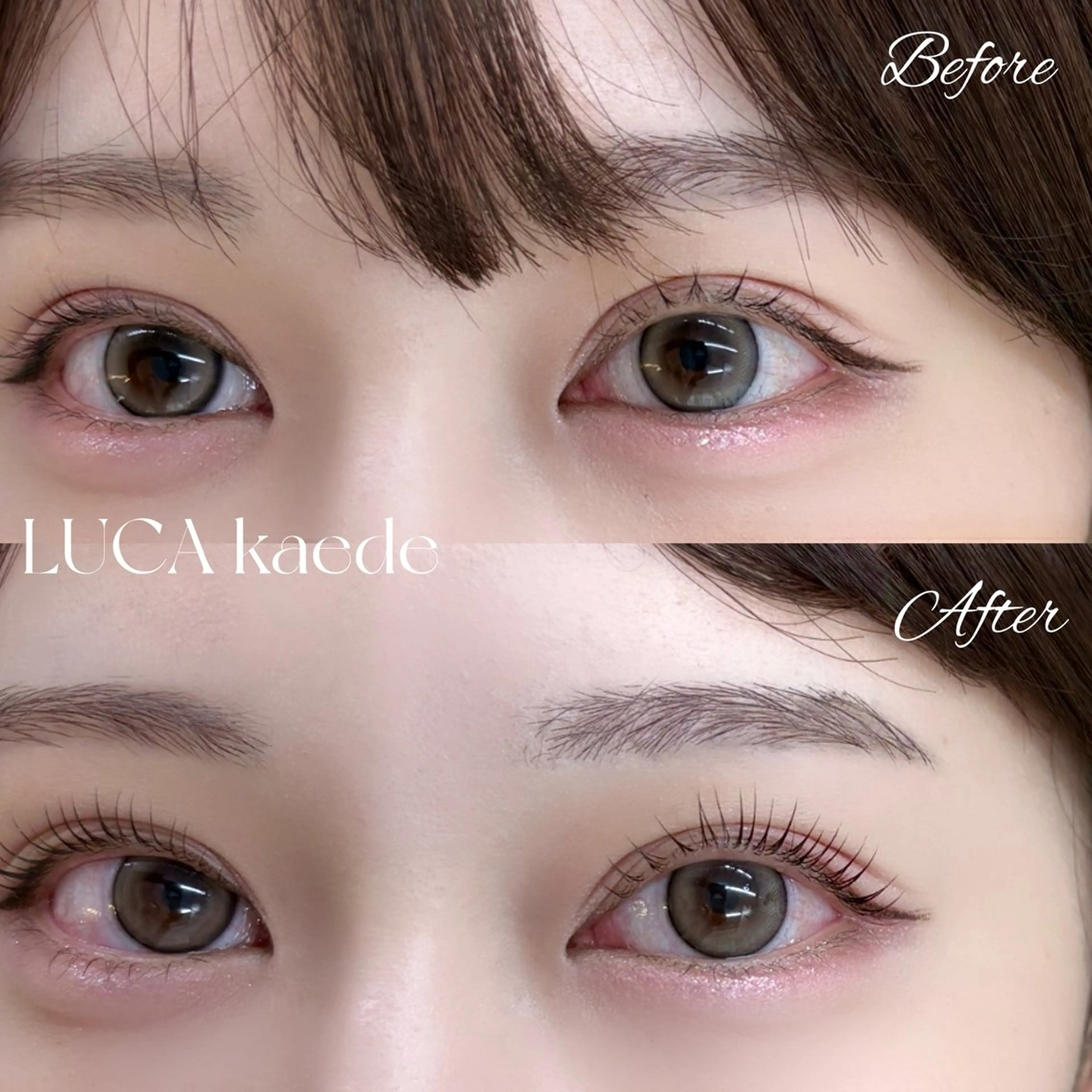10月限定❣️美眉WAX【オーガニックwax使用/間引き込】➕選べるまつ毛パーマ【トリートメント・コーティング込】の写真