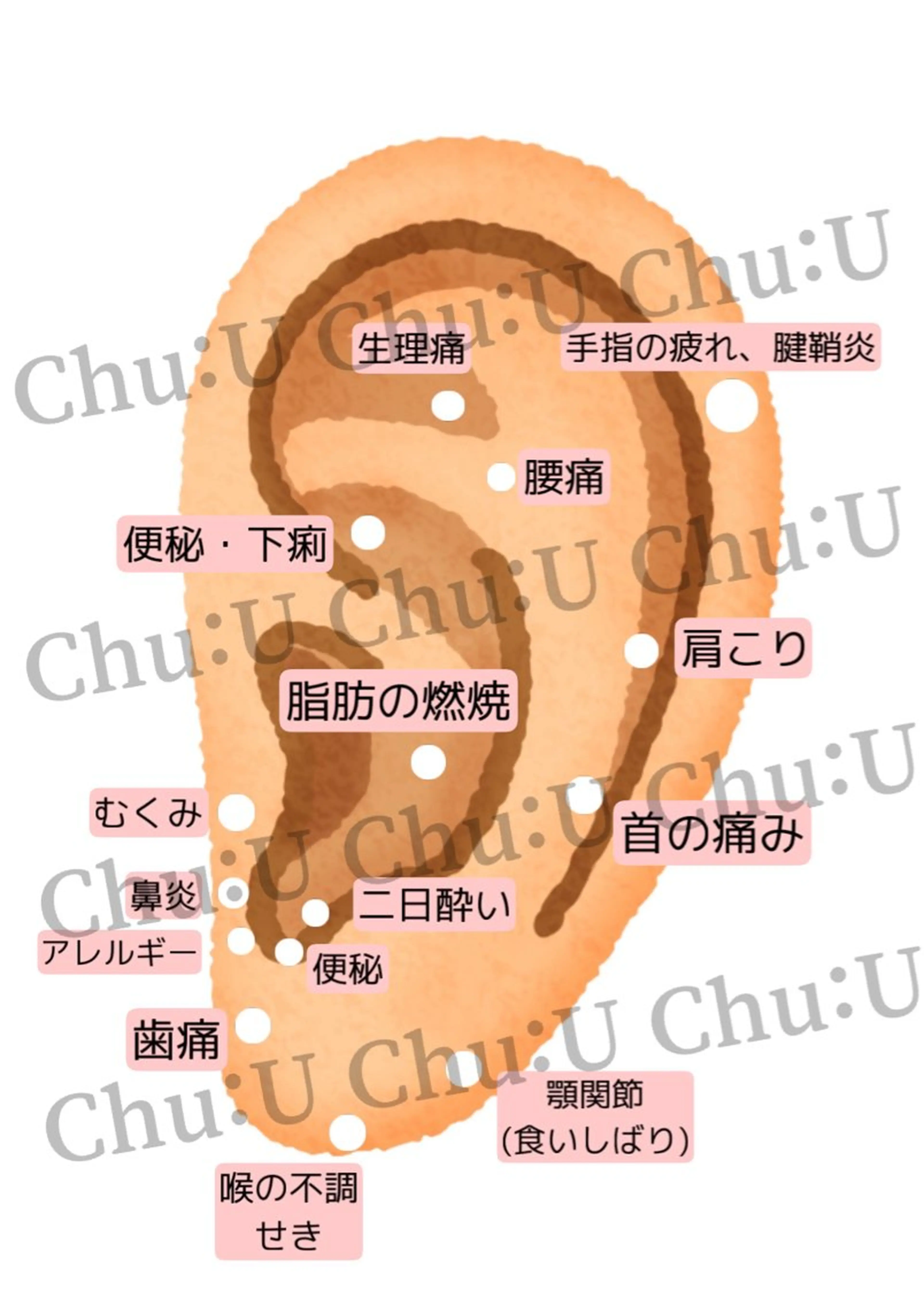 エステ GO TODAY SHAIRE SALON 銀座Cras所属・韓国風眉×顔タイプ 診断®  Naoの眉毛・アイブロウイメージ