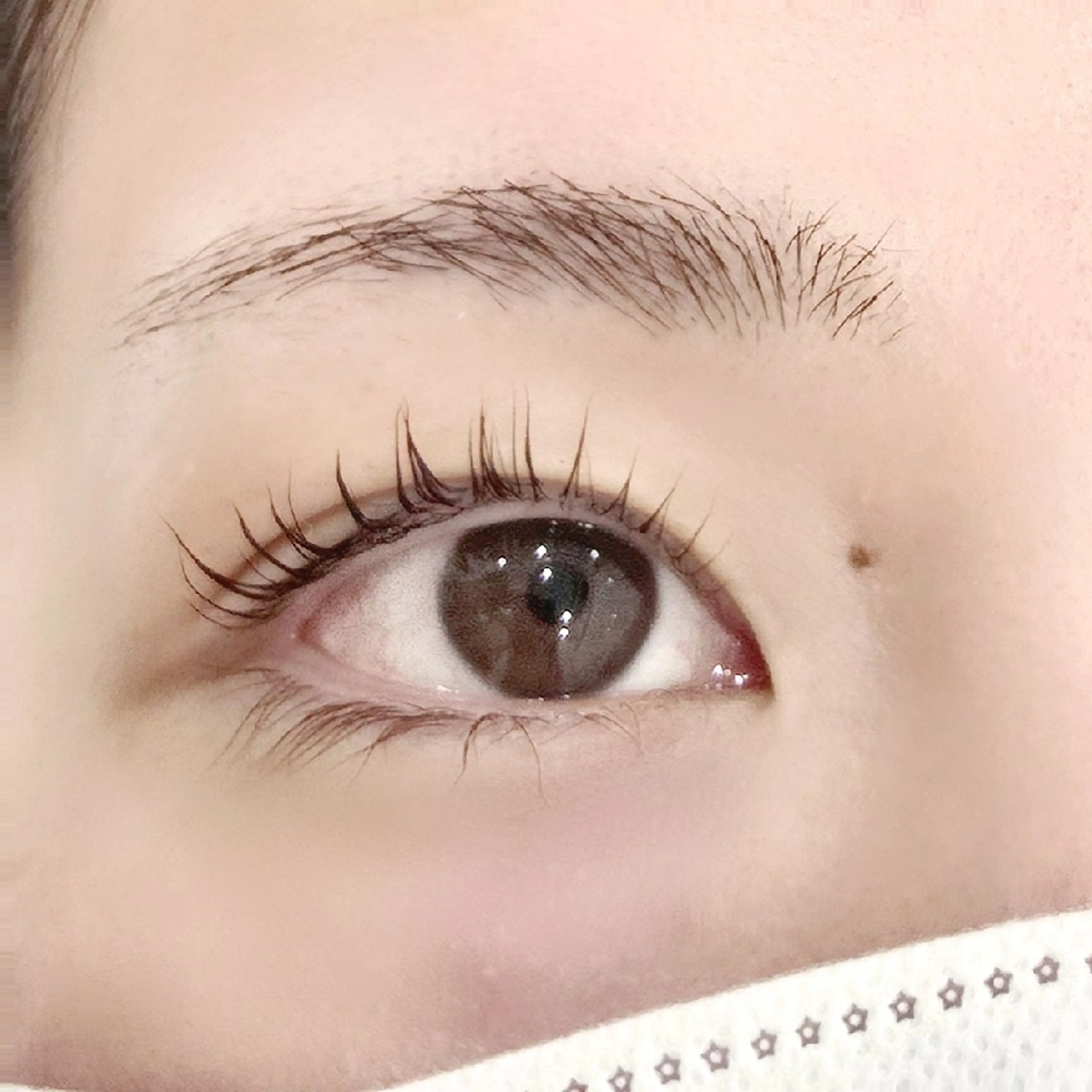 Jrアイリスト / パリジェンヌ(まつげパーマ)の写真
