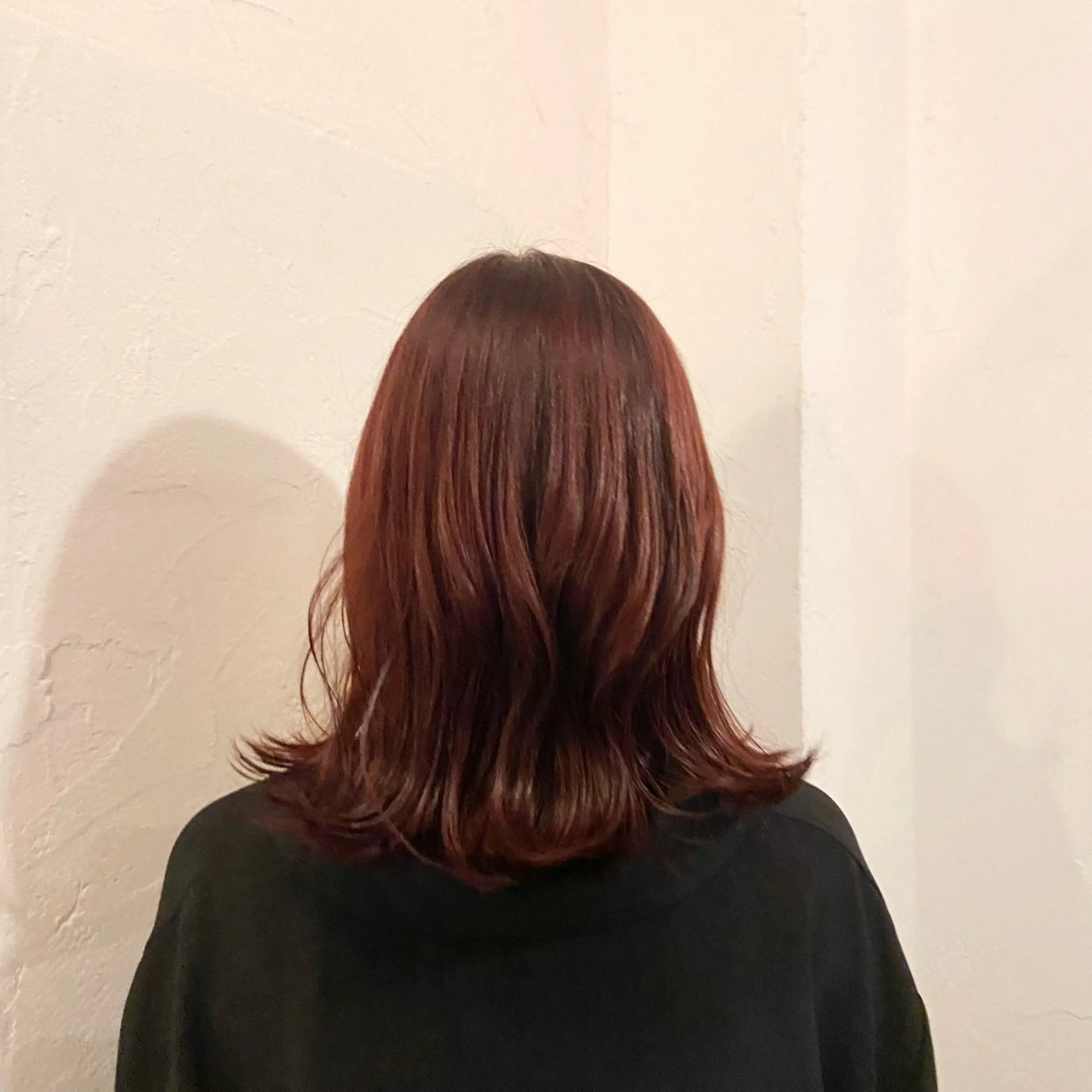 one colorの写真