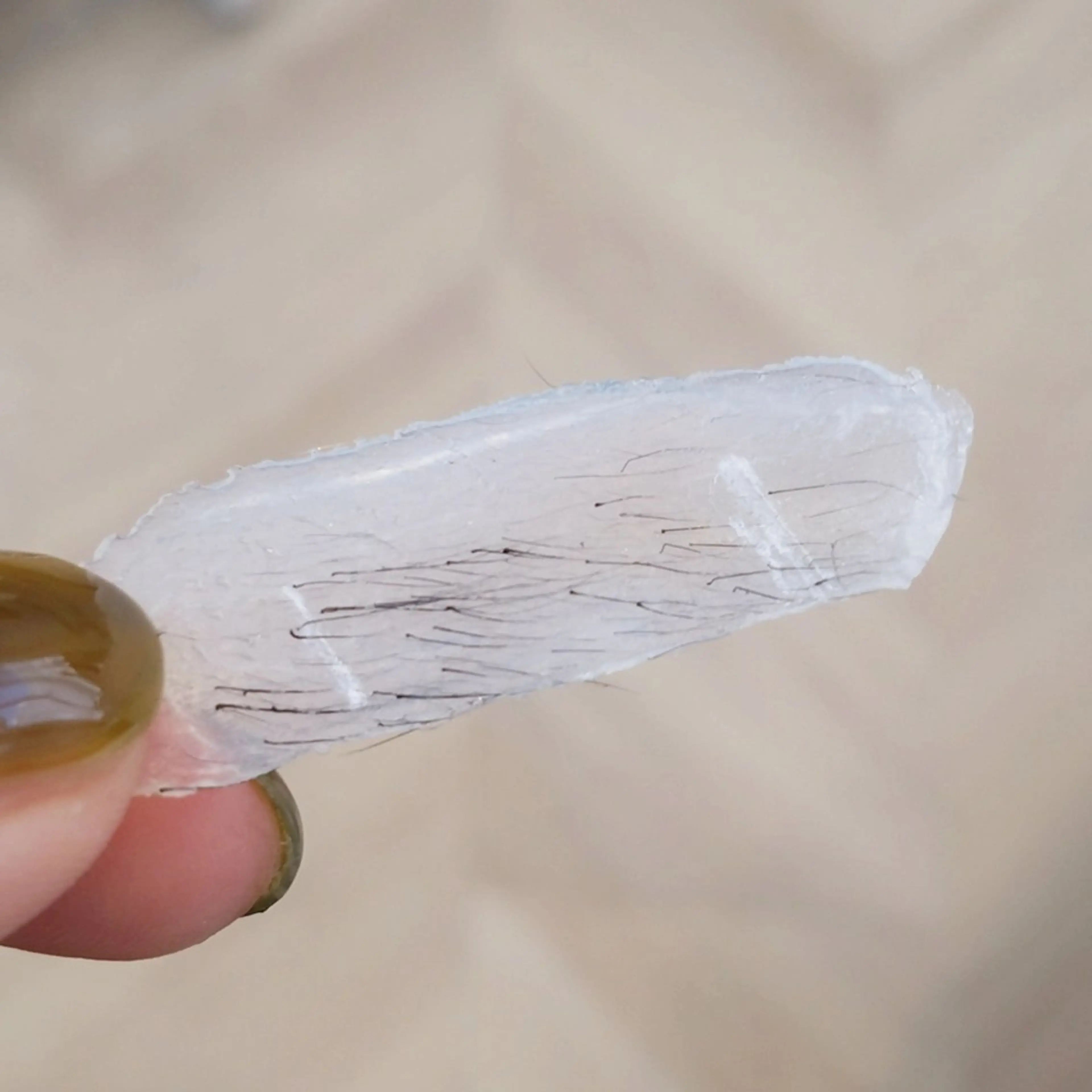 アイブロウ ワックス脱毛 眉カット その他(アイブロウ) Hi salon erikaの眉毛・アイブロウイメージ