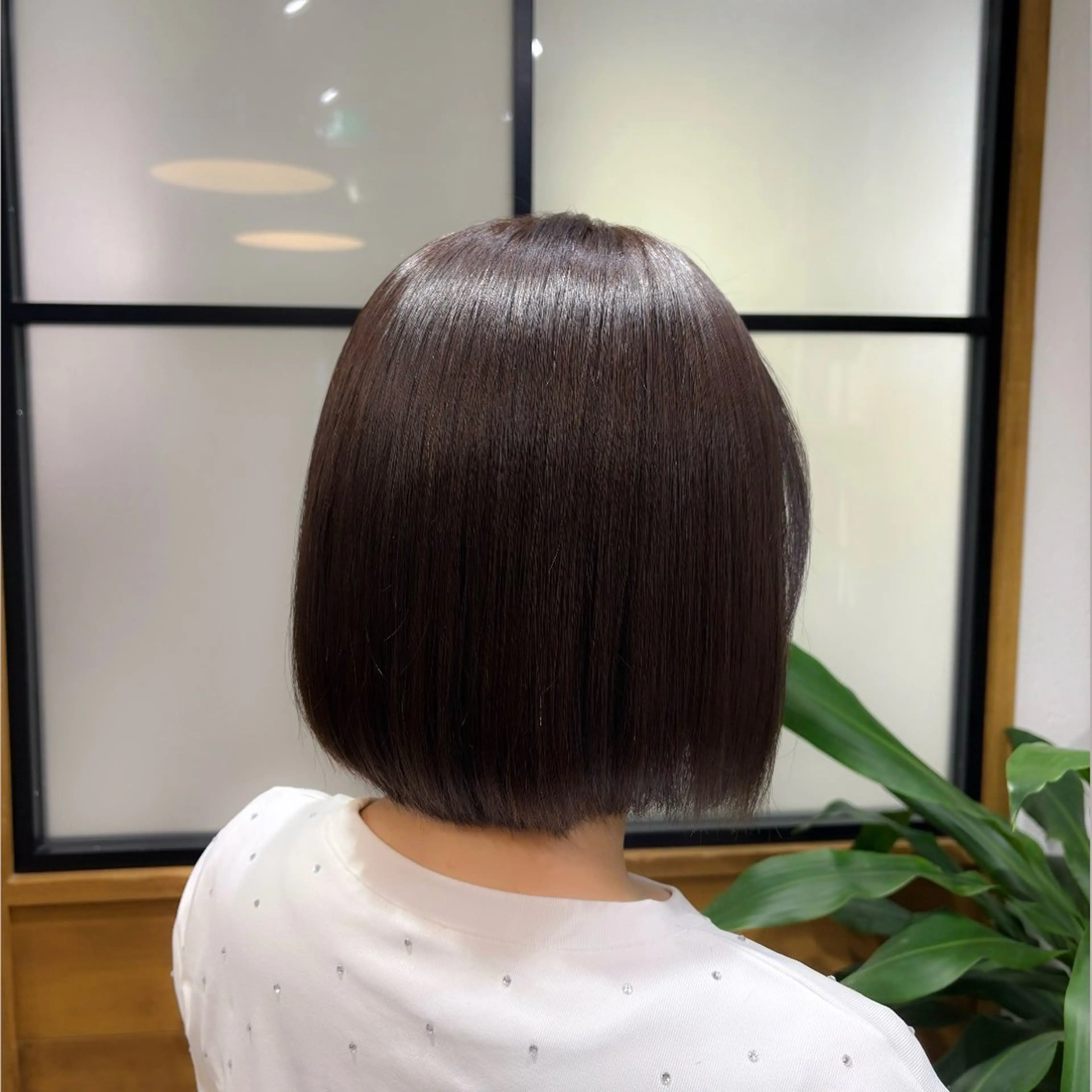 カット＋ワンカラーの写真