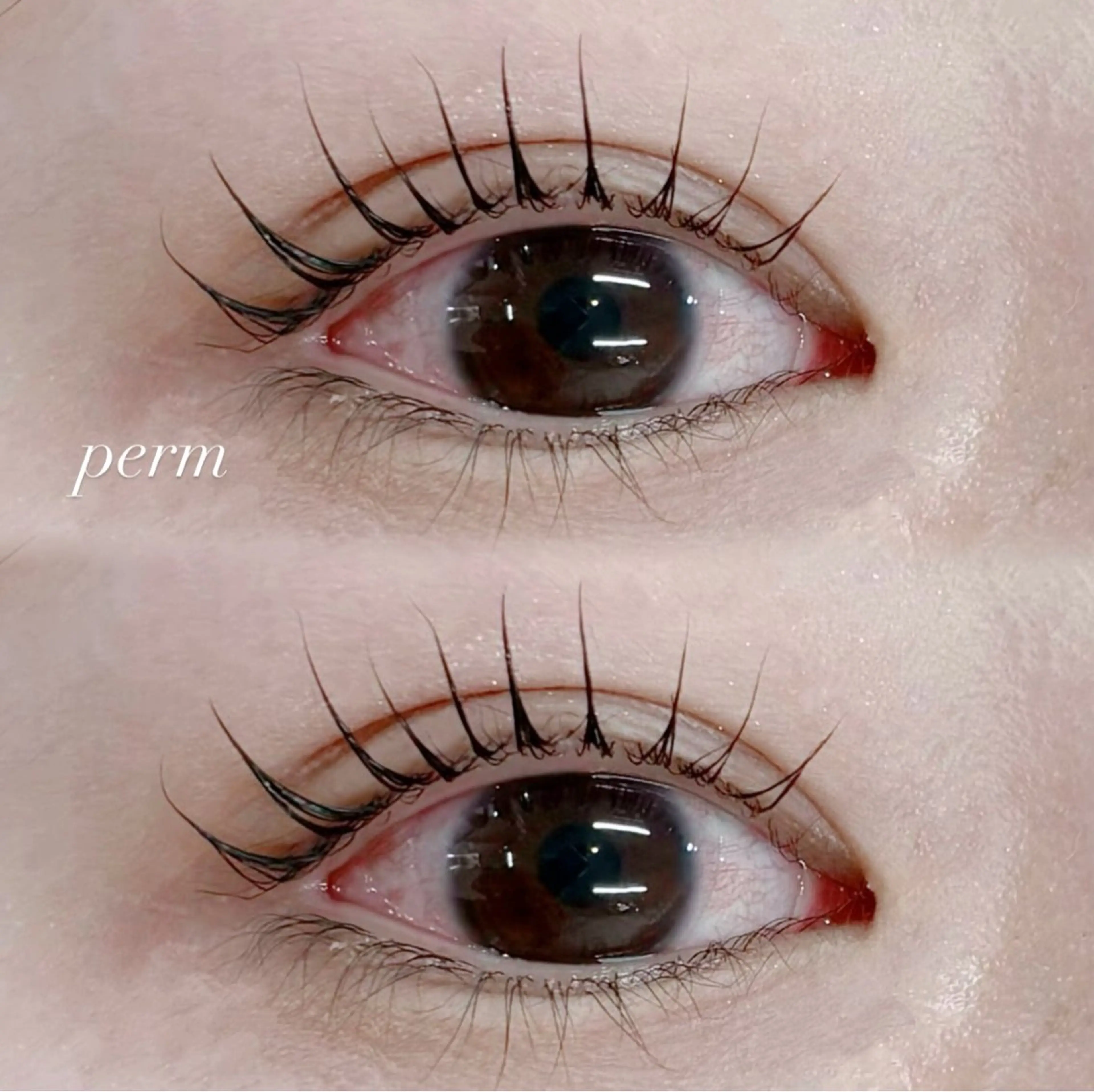 【12月限定】💎まつ毛パーマ 上のみの写真