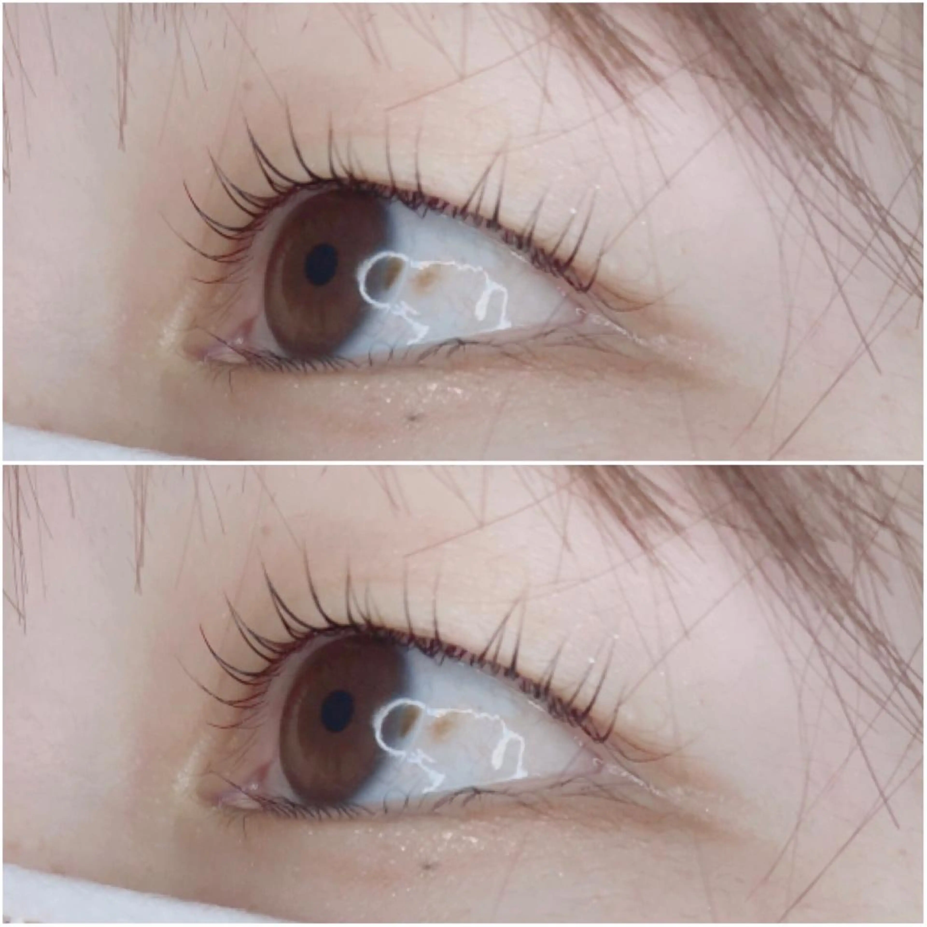マツエク・マツパ マツパ 《eyelash ｉｉｔｅ》森のマツエク・マツパデザイン
