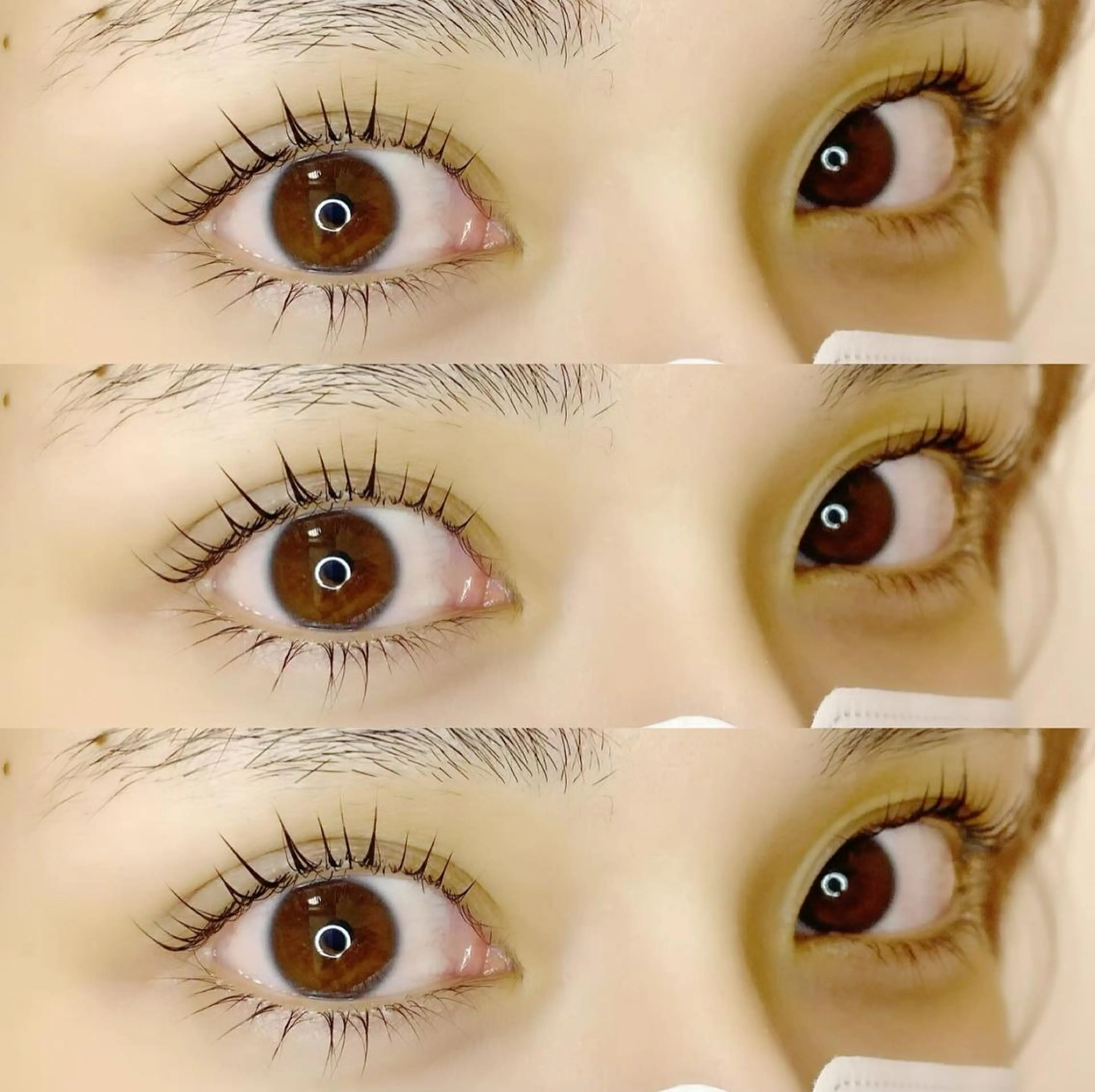 マツエク・マツパ パリジェンヌラッシュリフト まつげパーマ KURUMI🦋 まつエクまつパ美眉のマツエク・マツパデザイン