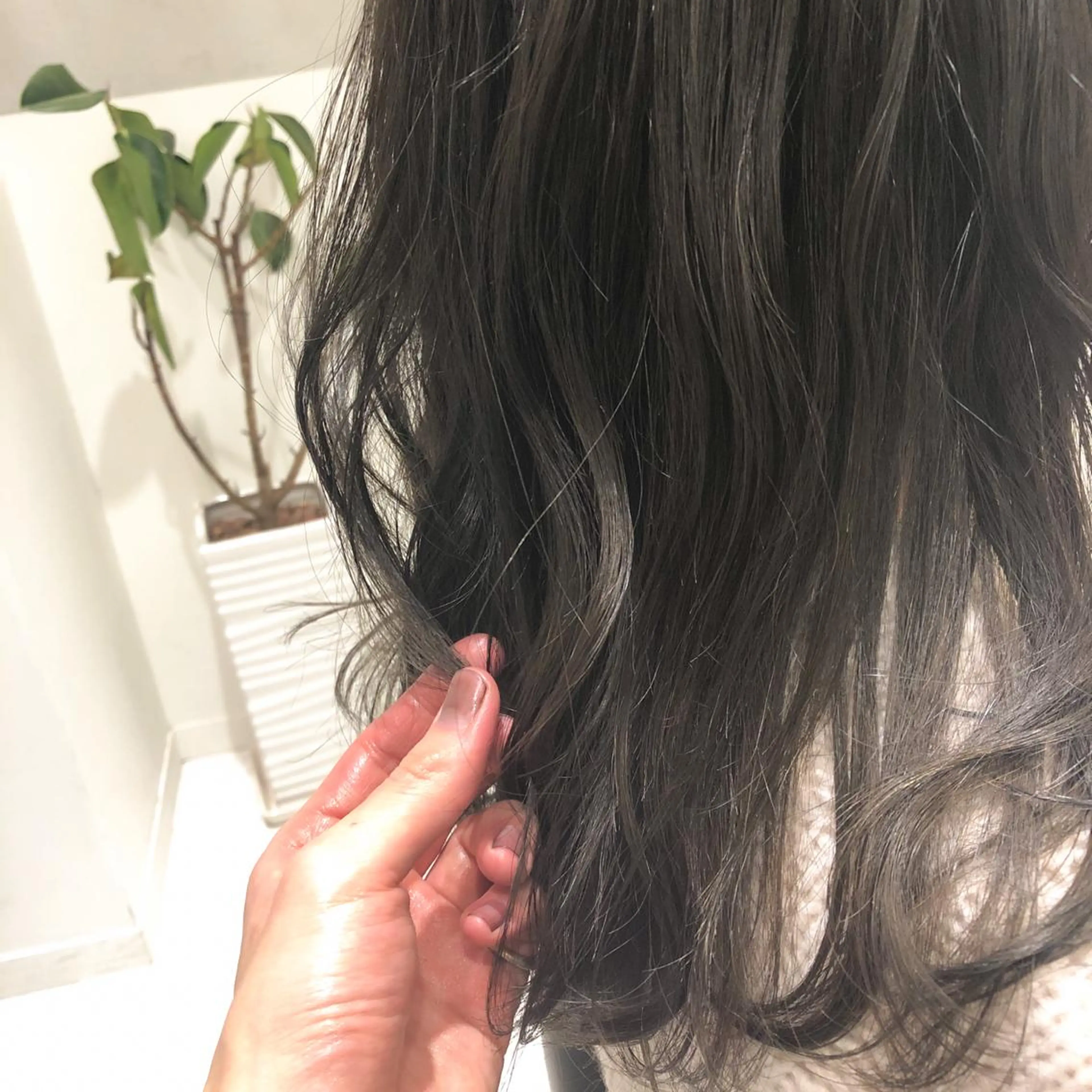 ミディアム 天衣無縫所属・矢口 嵩人のヘアスタイル