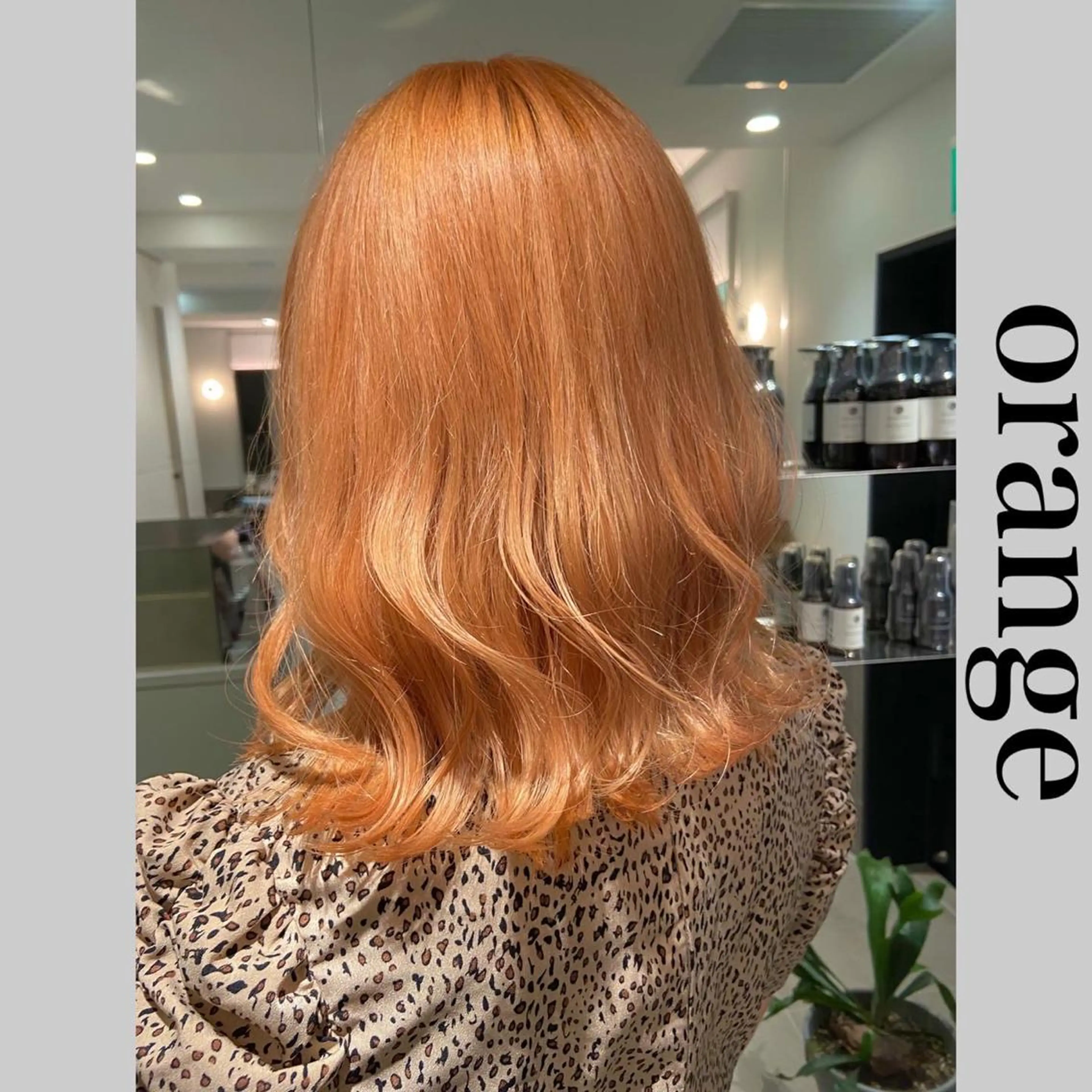 ミディアム 🧚つやさらhair 🧚manakaのヘアスタイル