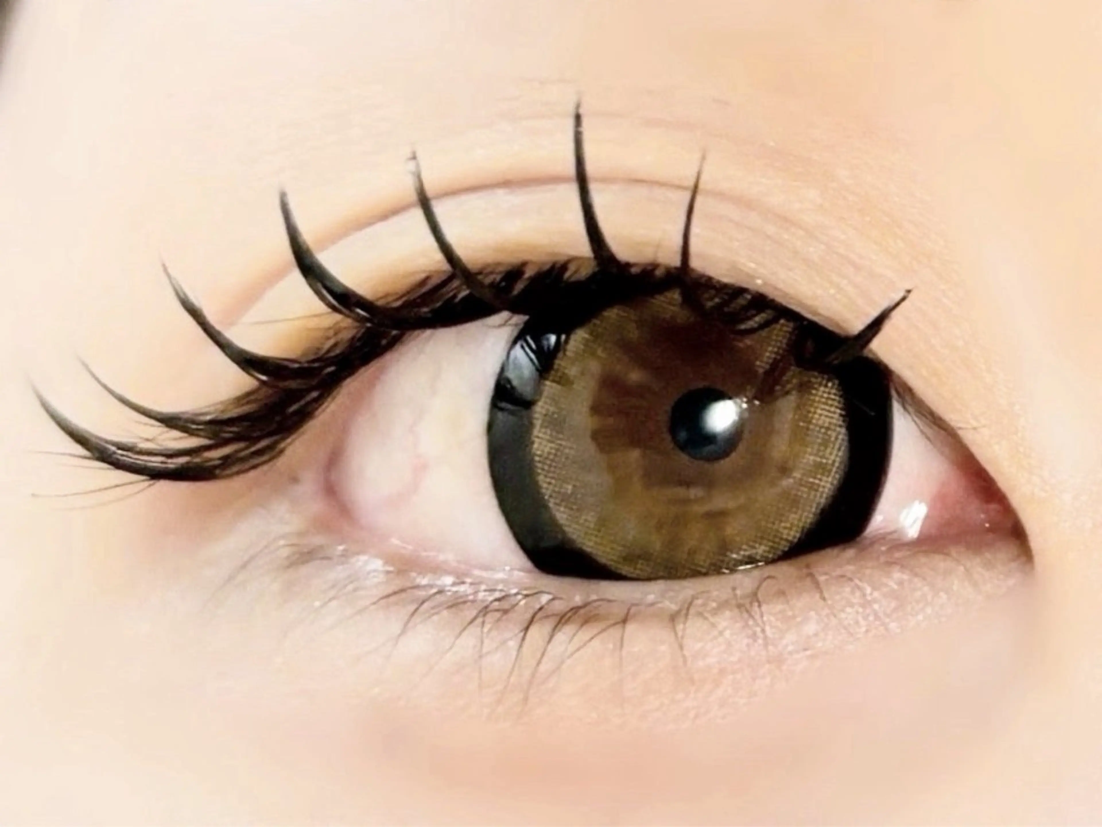 ◆11月限定◆フラットラッシュ120本(オフ込み)の写真