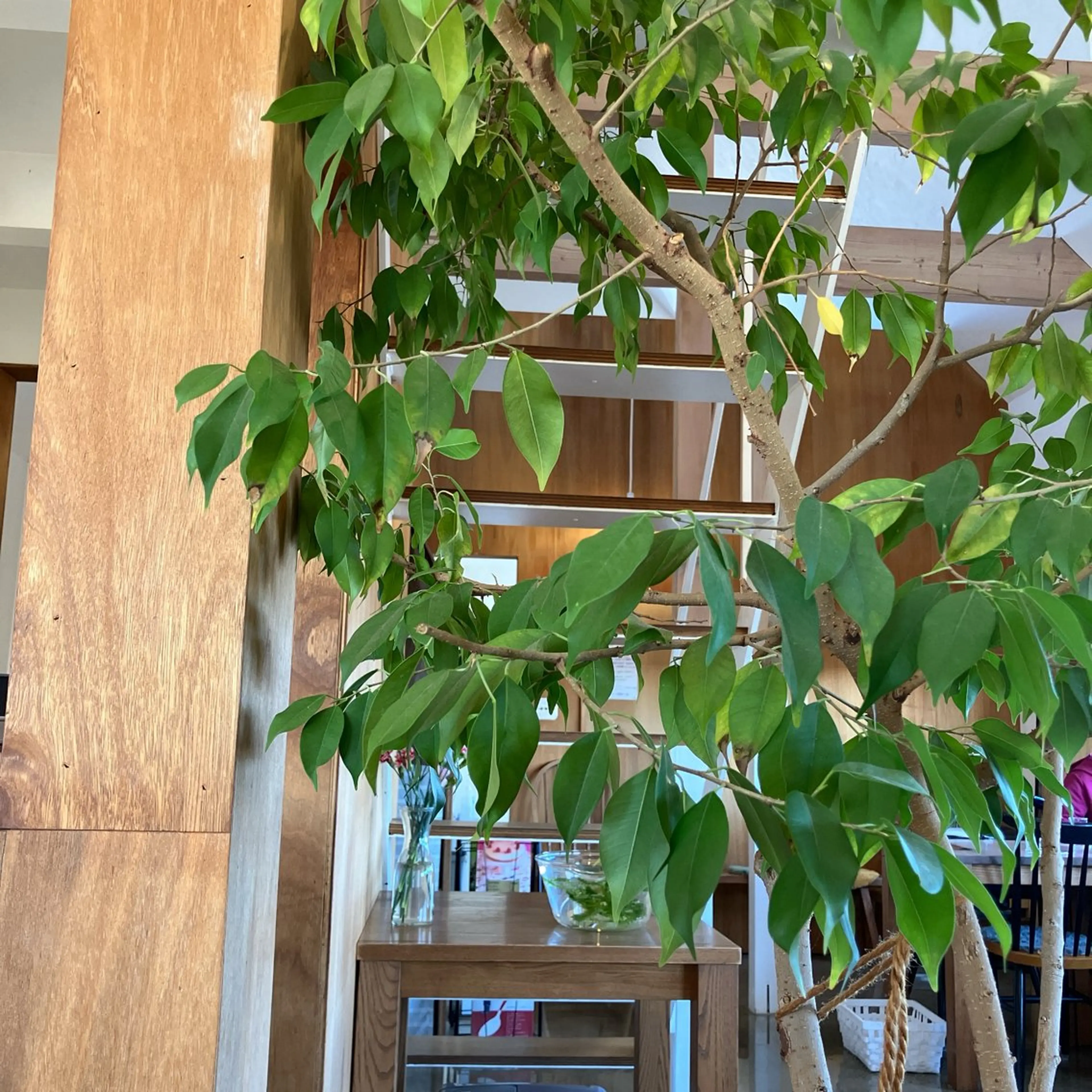 ニキビケア/毛穴/ 赤み/自信の肌✨森園のエステ・リラクイメージ