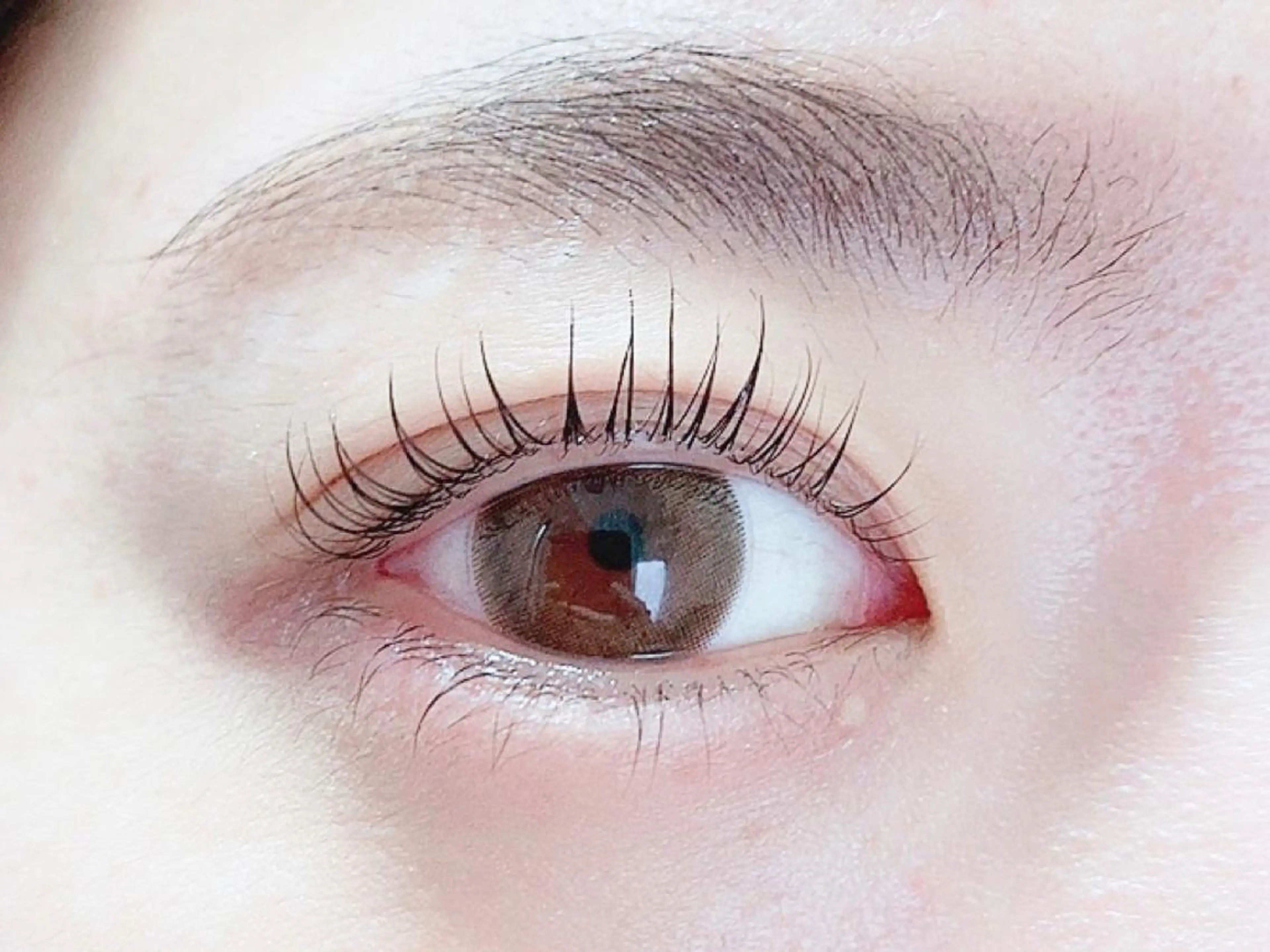 マツエク・マツパ マツパ トレヴァーデルチザン inuiのマツエク・マツパデザイン